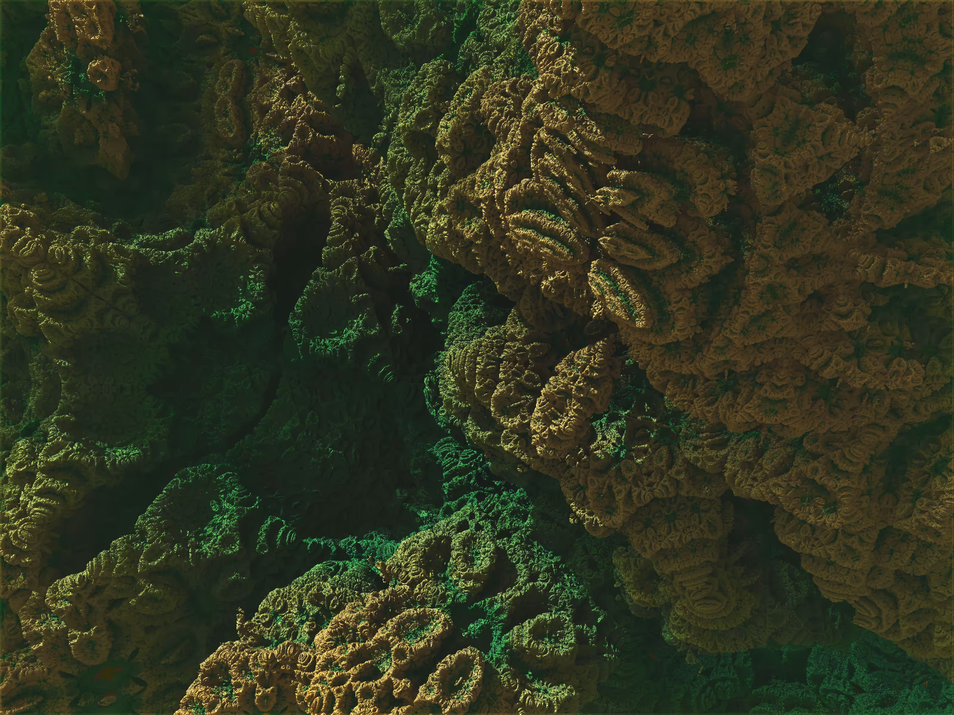 //Fractal Forest