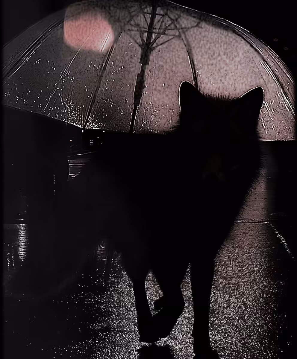 Elusive