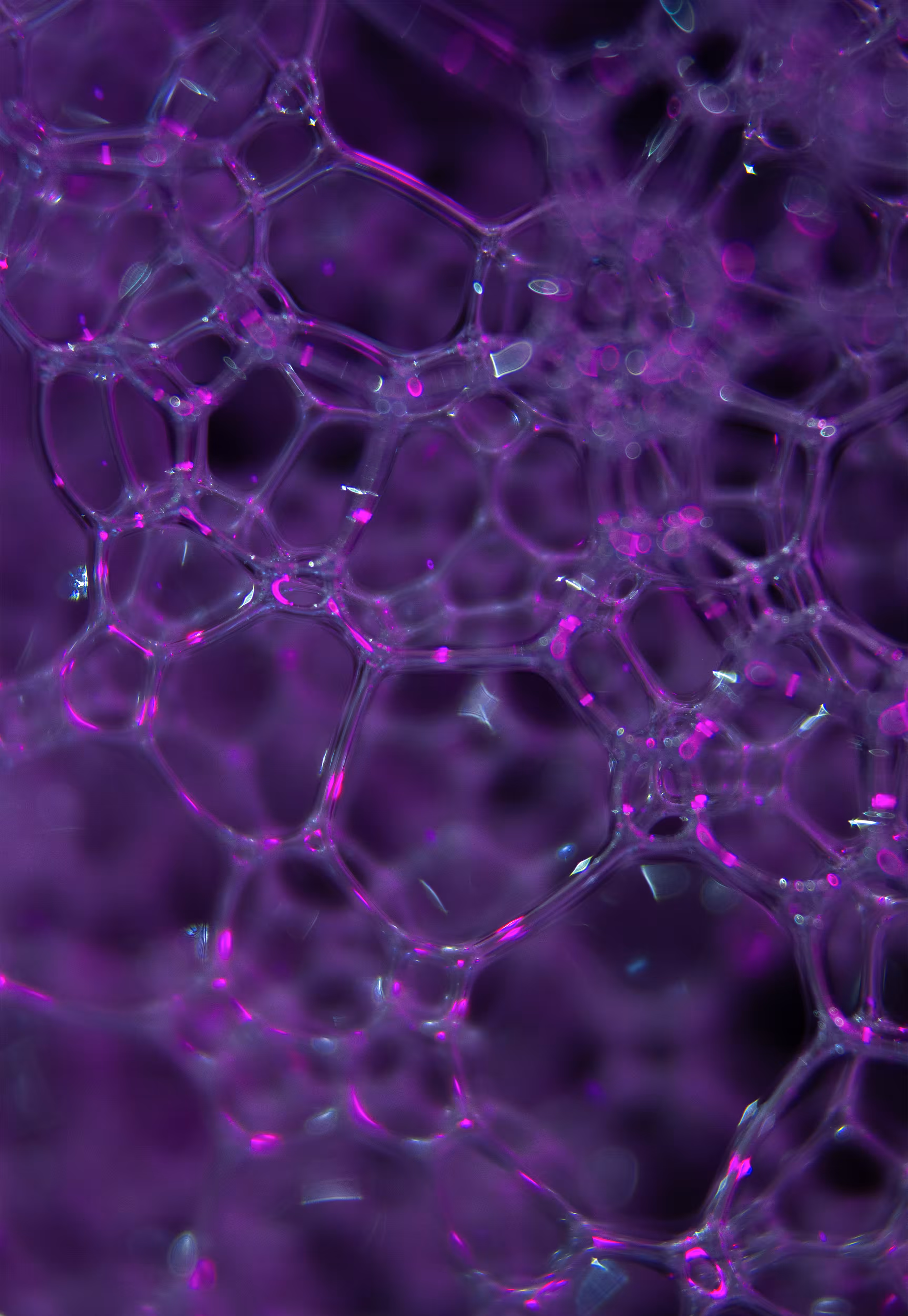 Abstract World of Soap Bubbles: #163 Bubbles