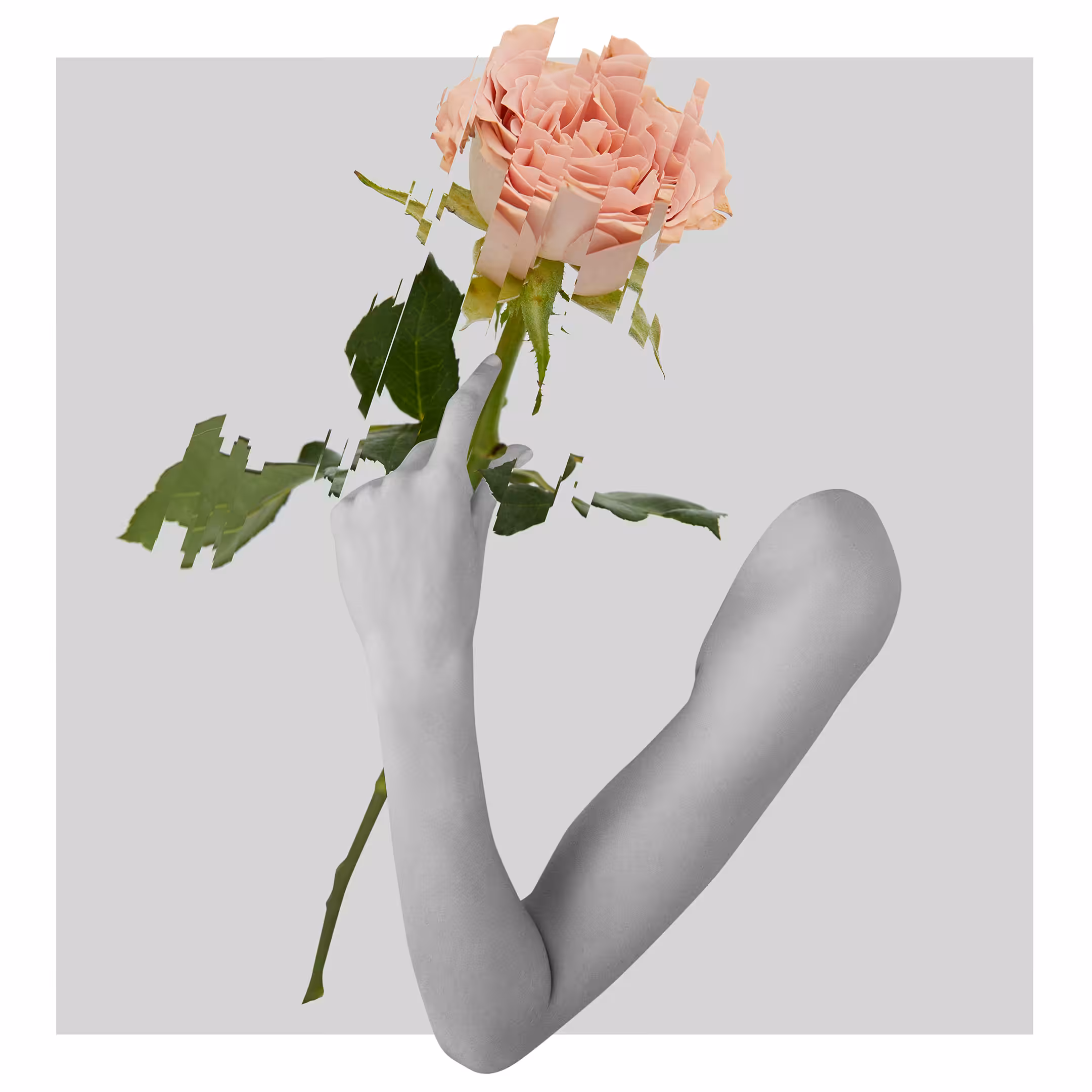 FLWR_002