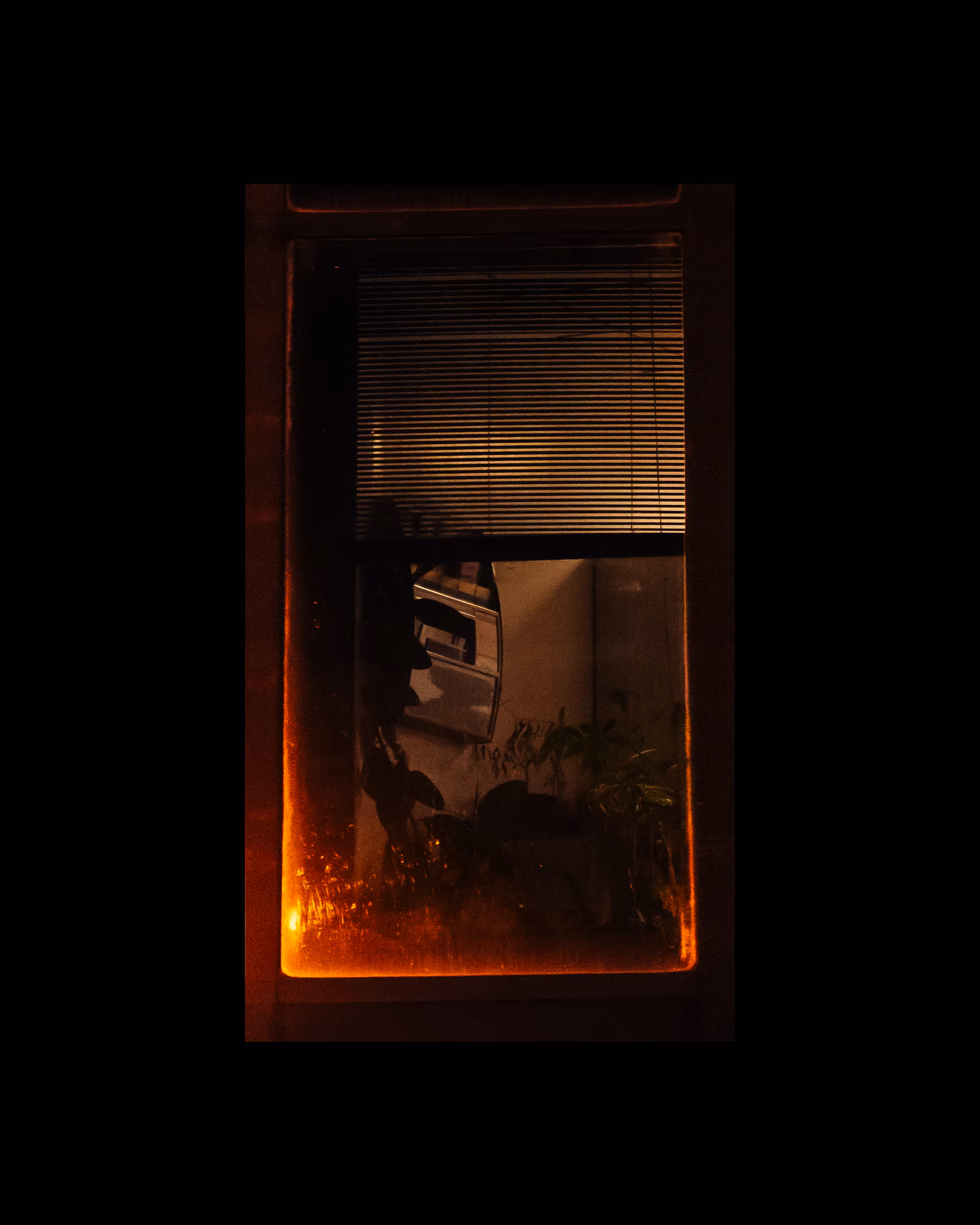 WINDOW 894