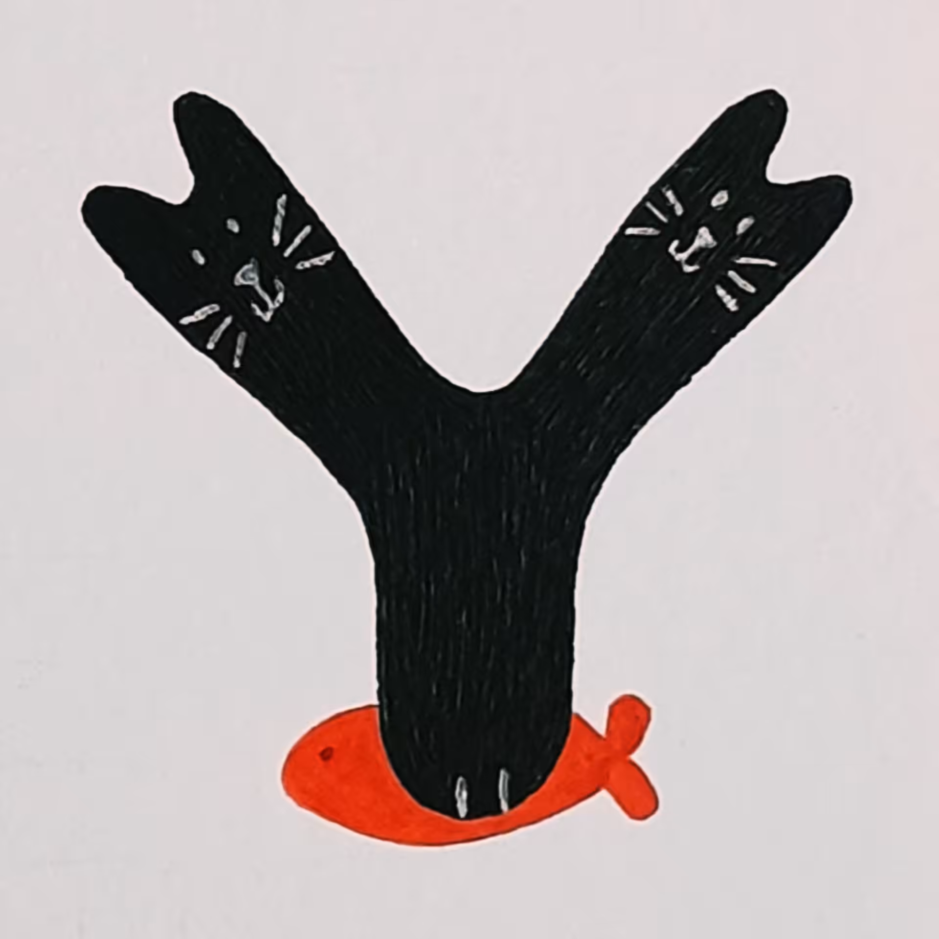 Y