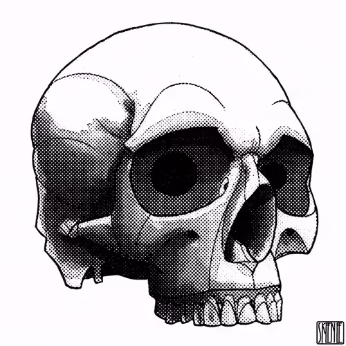 💀44 | CHROMATIC GLITCH SKULL 03