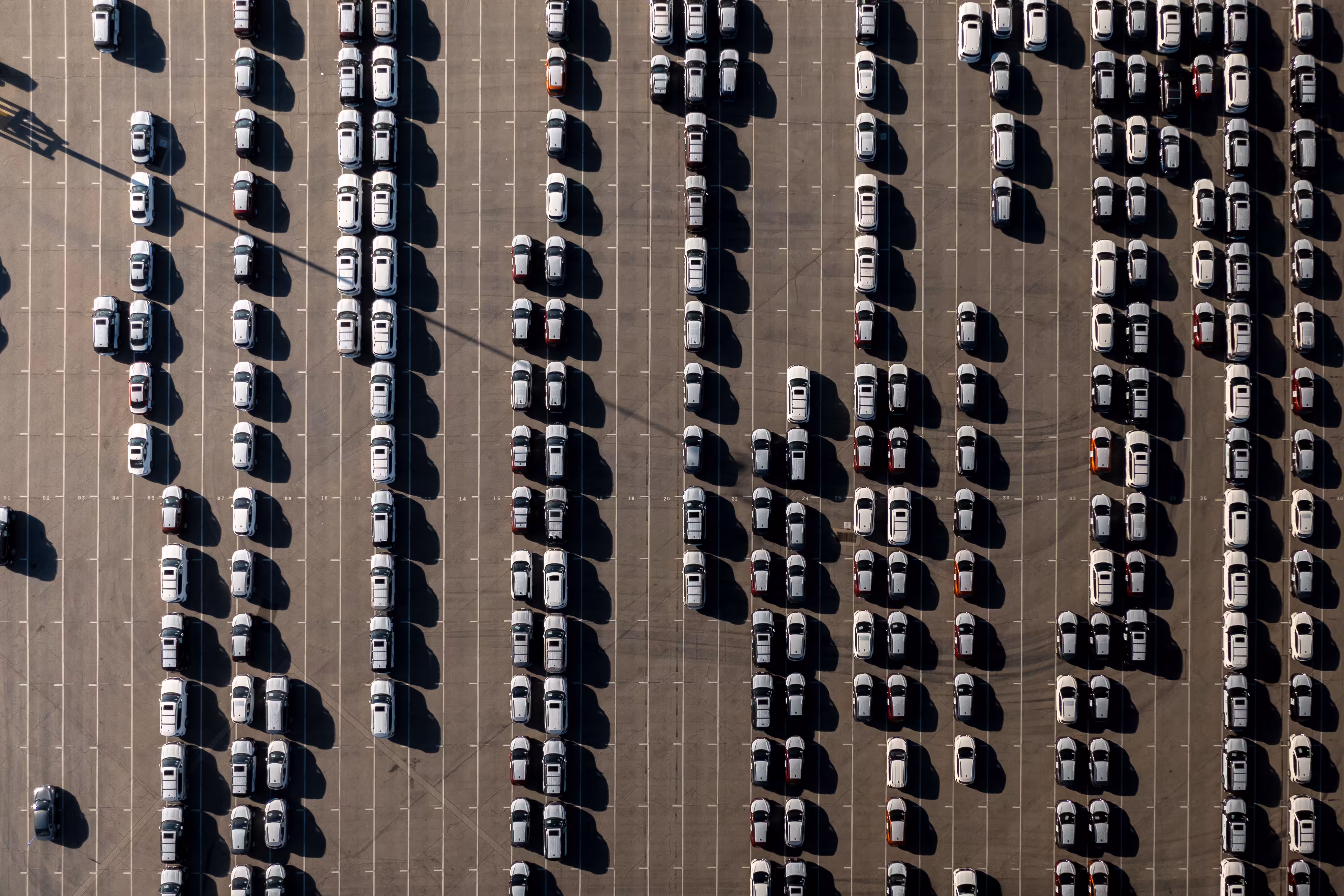 Starting Grid