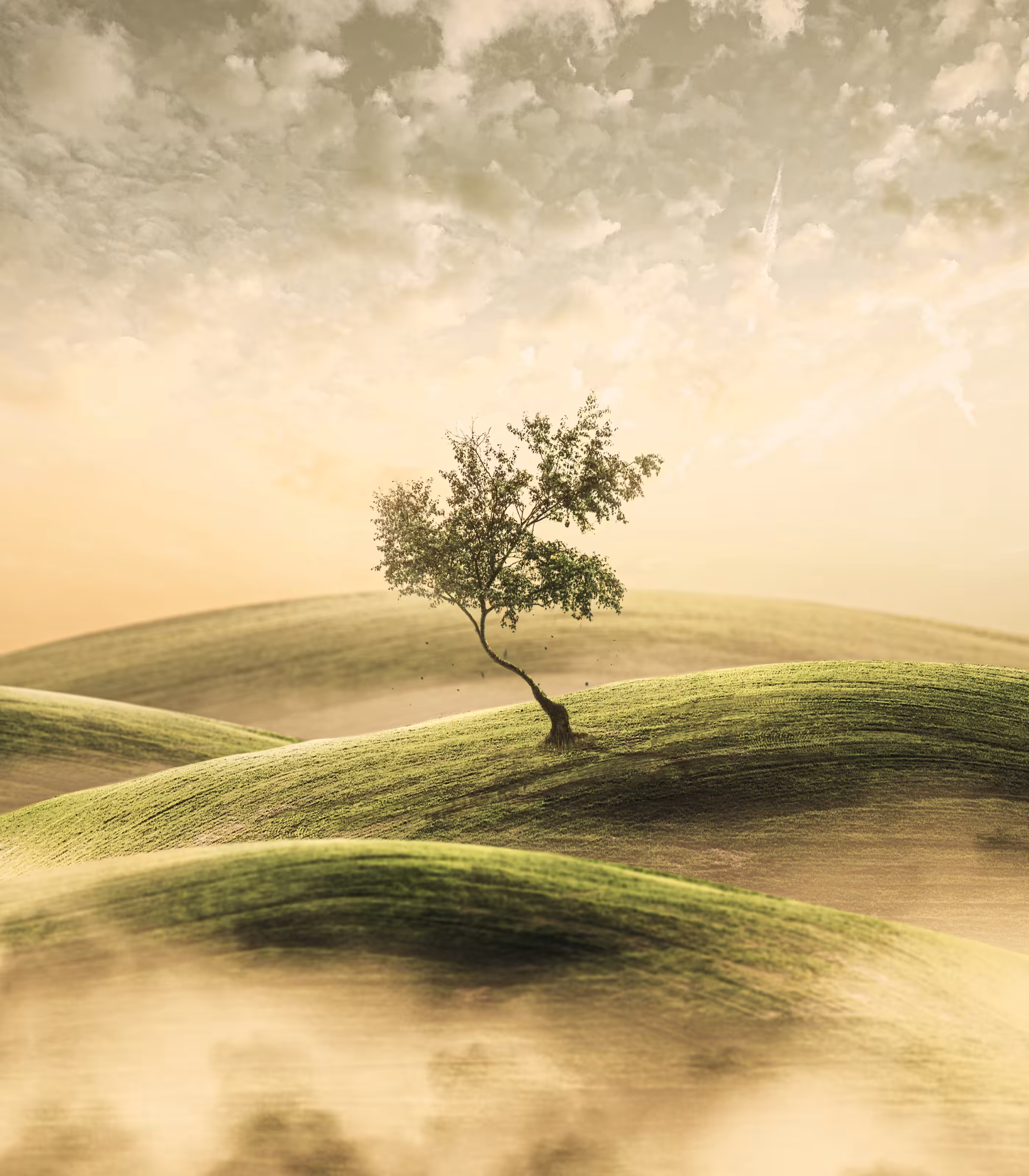 Earth's Essence