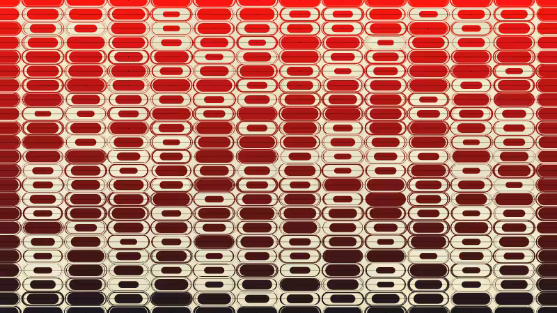 Polka #260