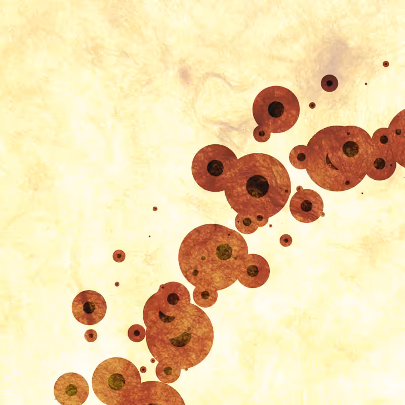 Prion-4