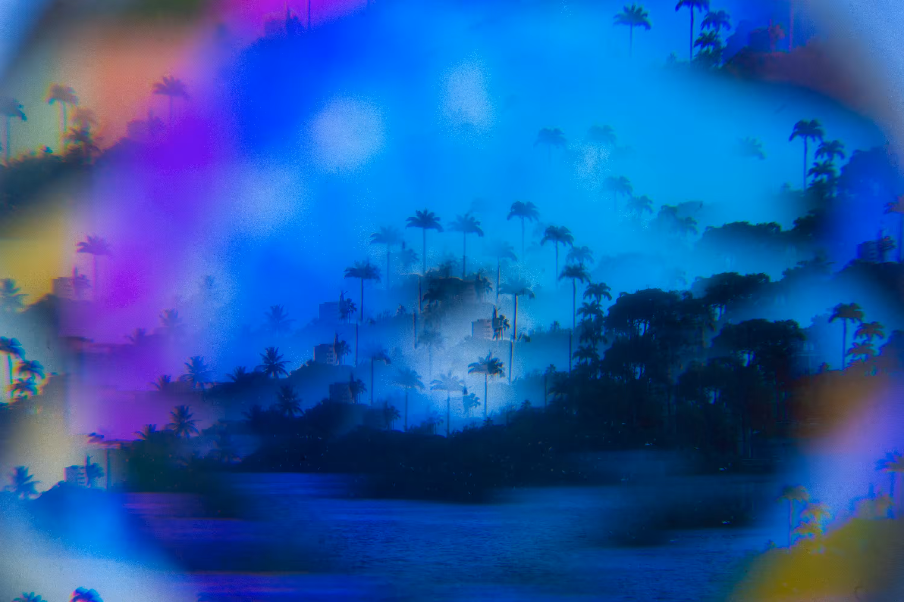 Land of the High Coconut Trees