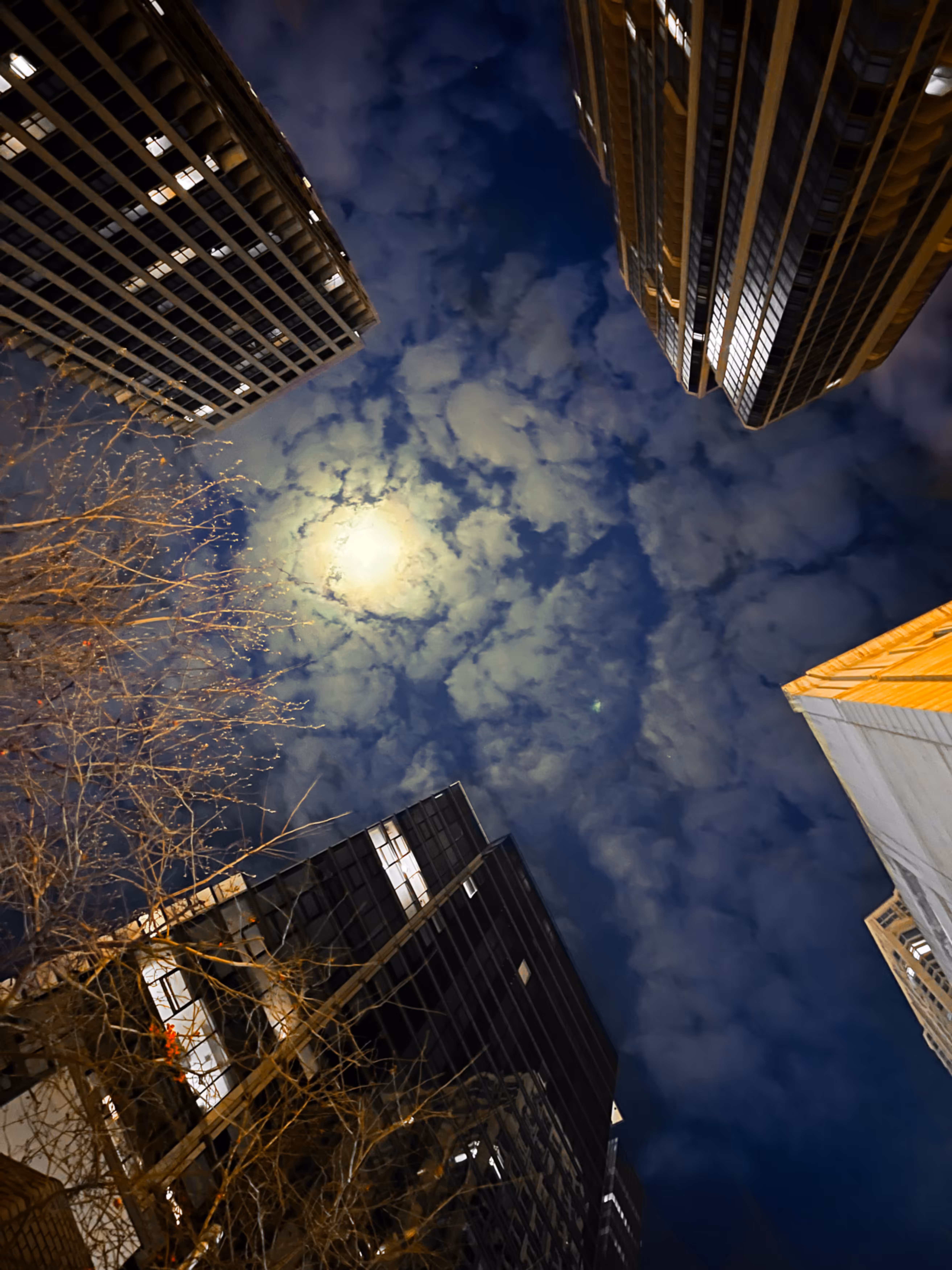 Night Sky 