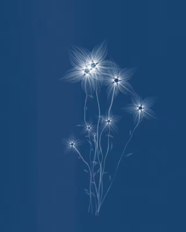 Cyanotypes #13