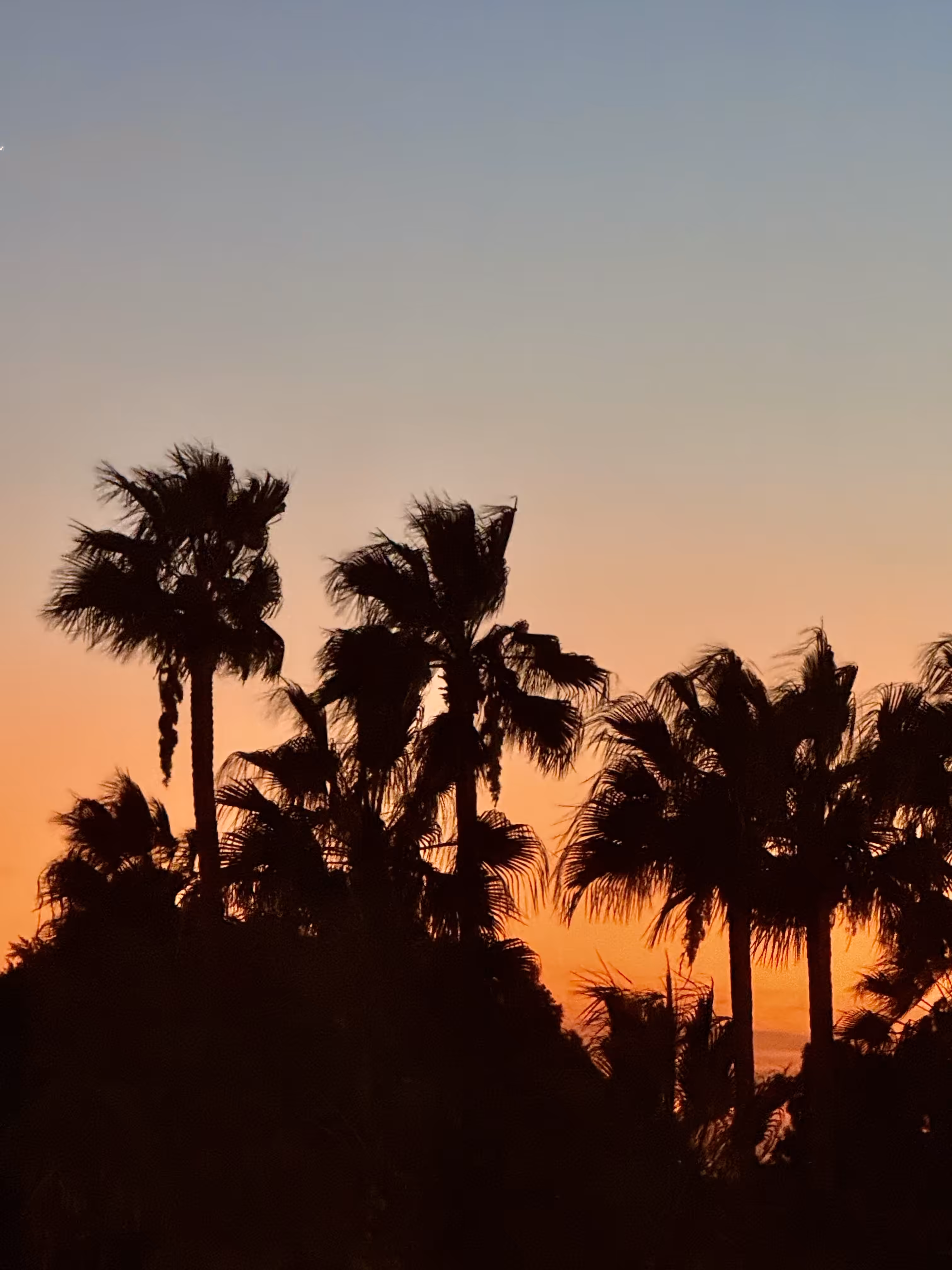 Hollywood Sunset