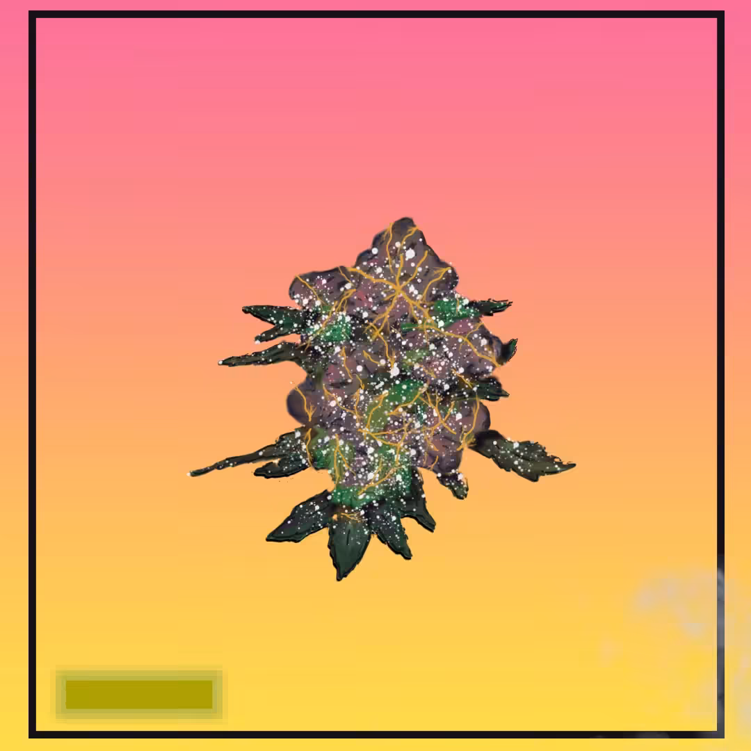 Electric Orange Frost 