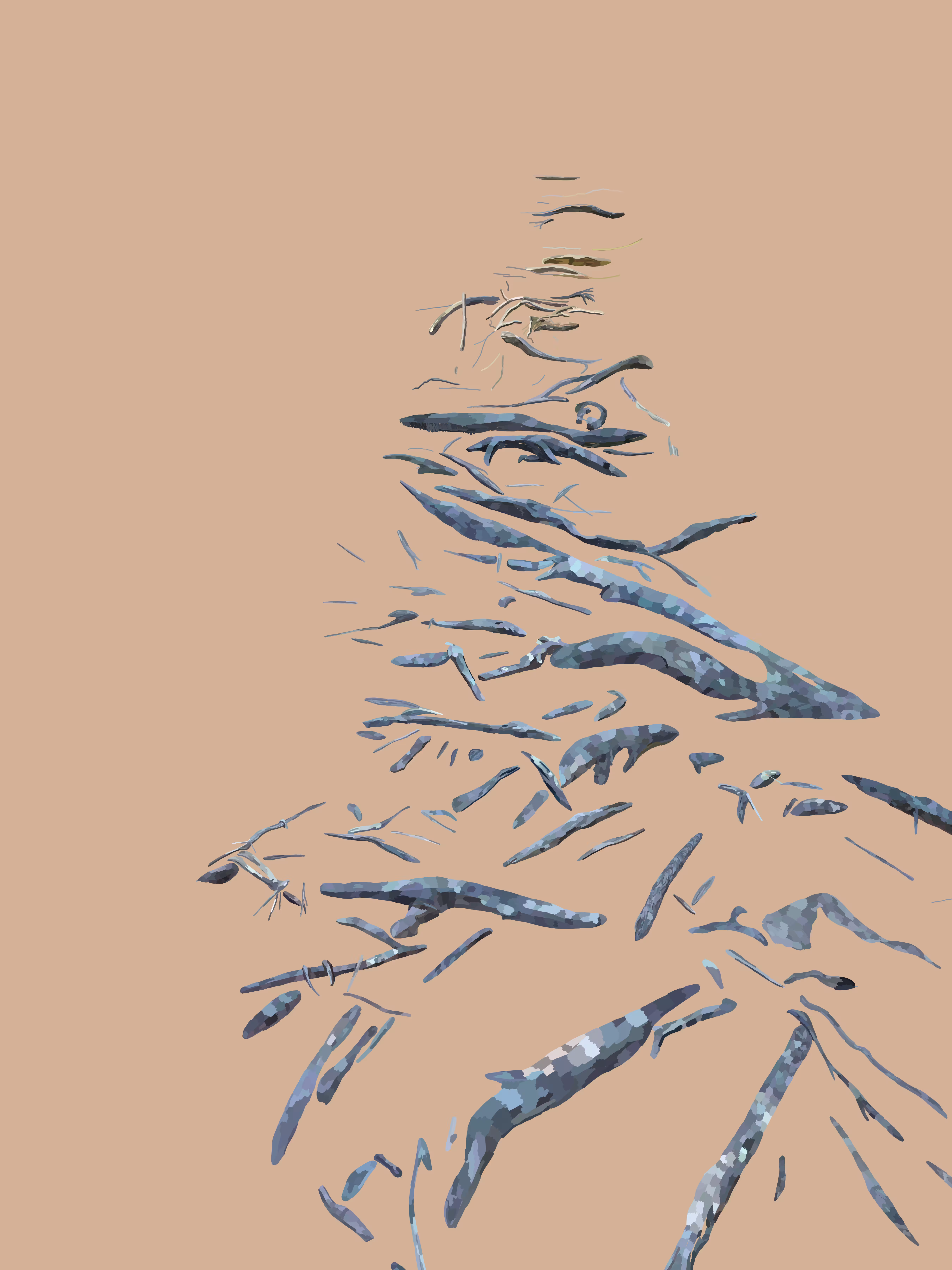 digital drawings: root study