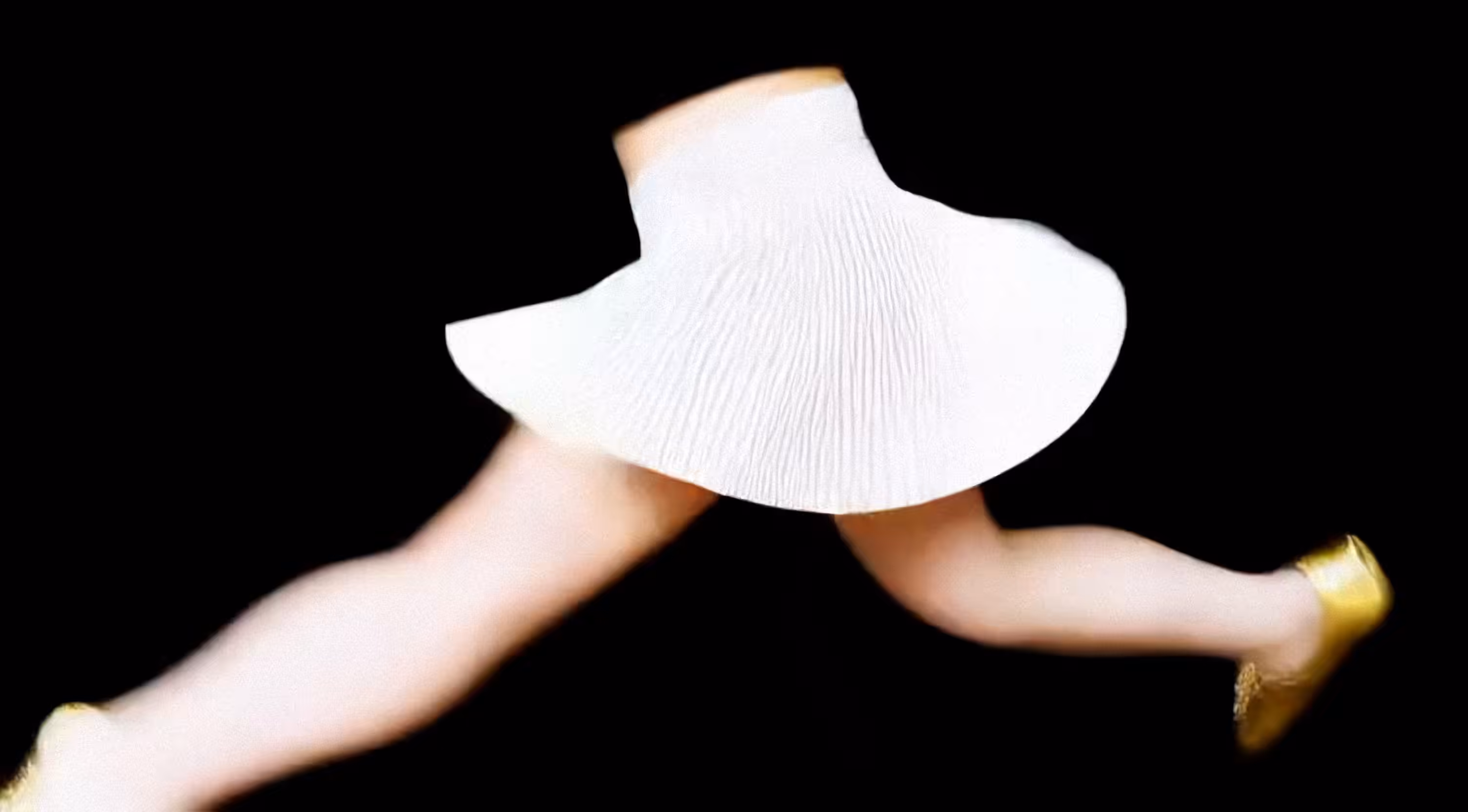 skirt in flight #1