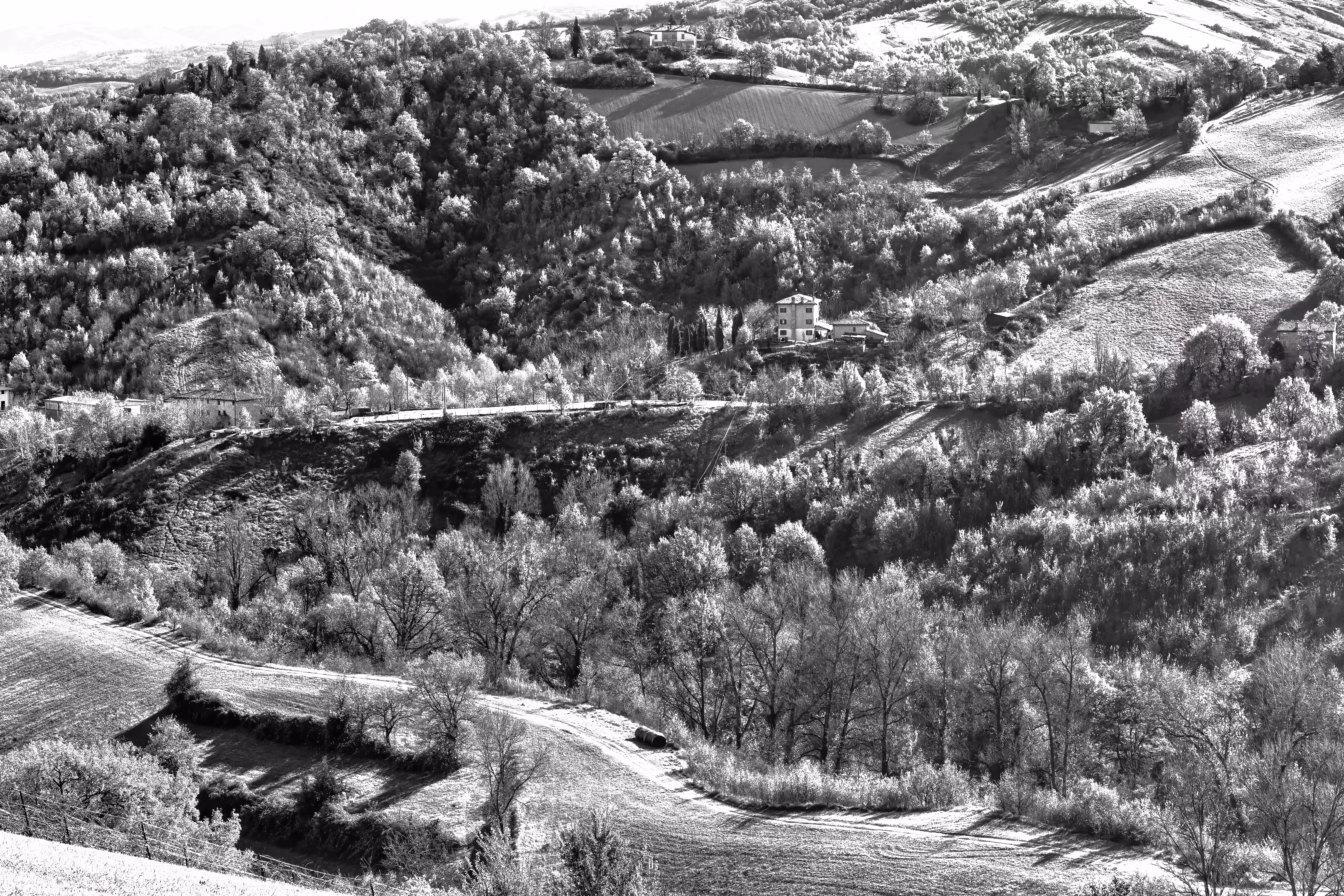 Modena Hills in Black and White – A Peaceful Italian Landscape