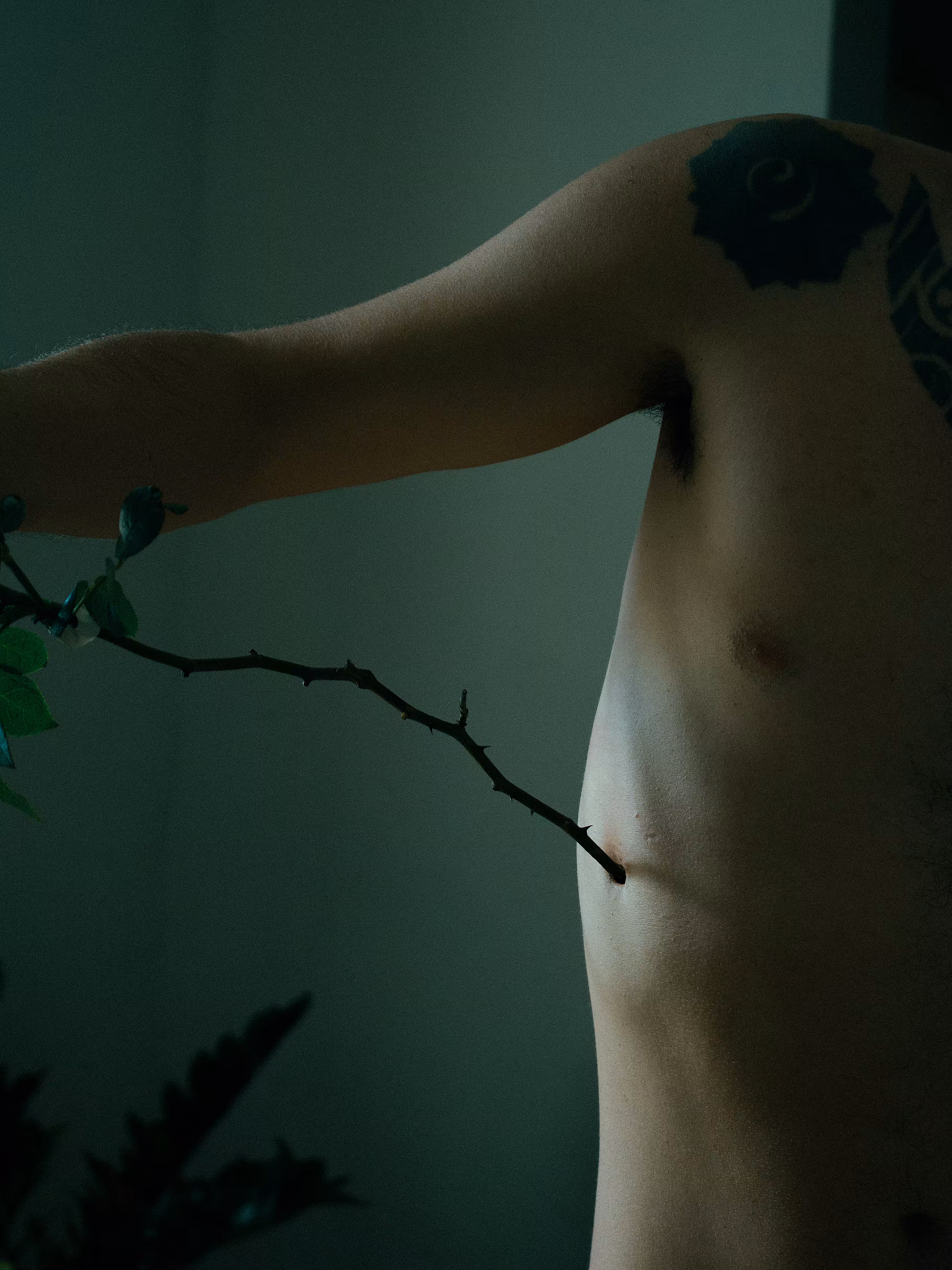 With Blood and Beauty