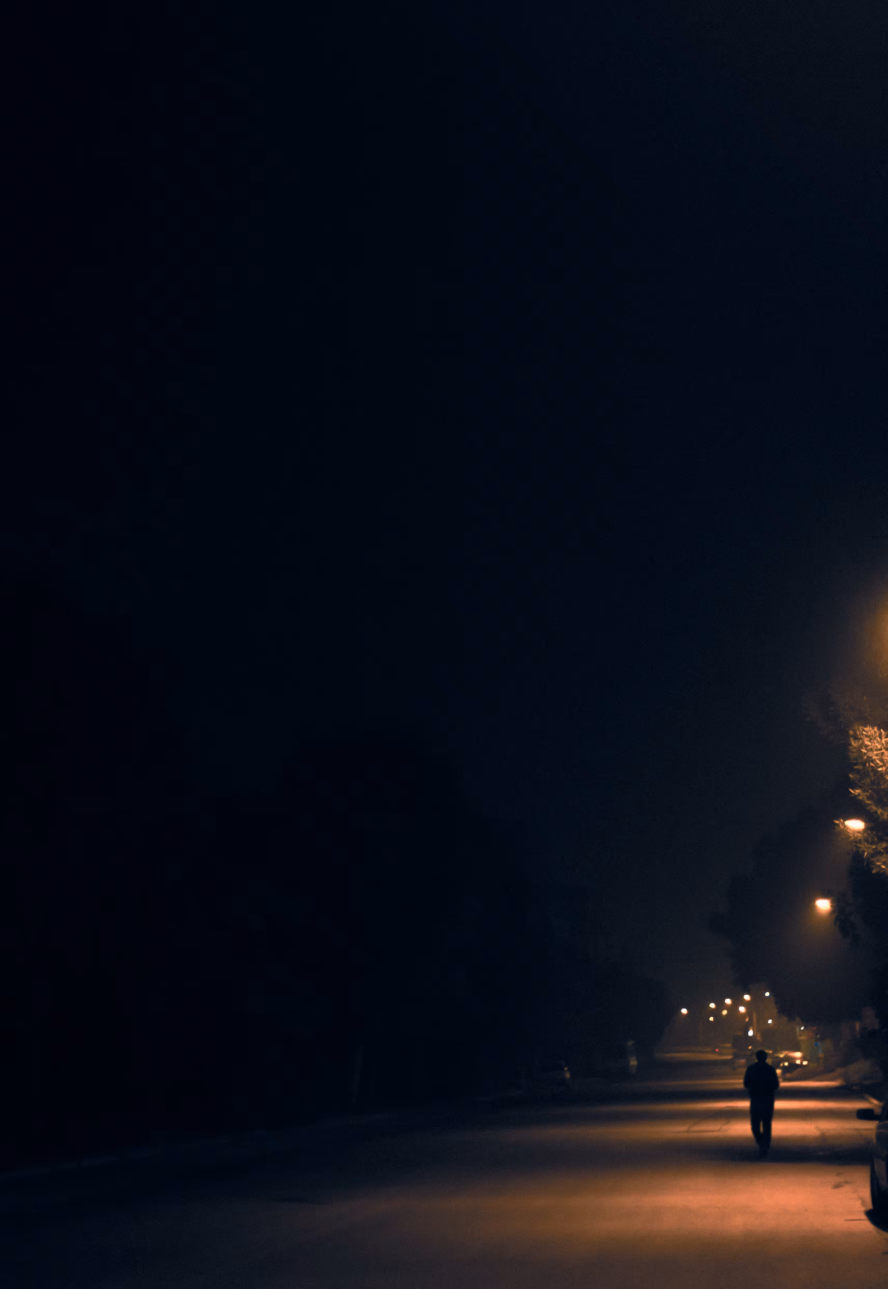 Journey to the end of the night