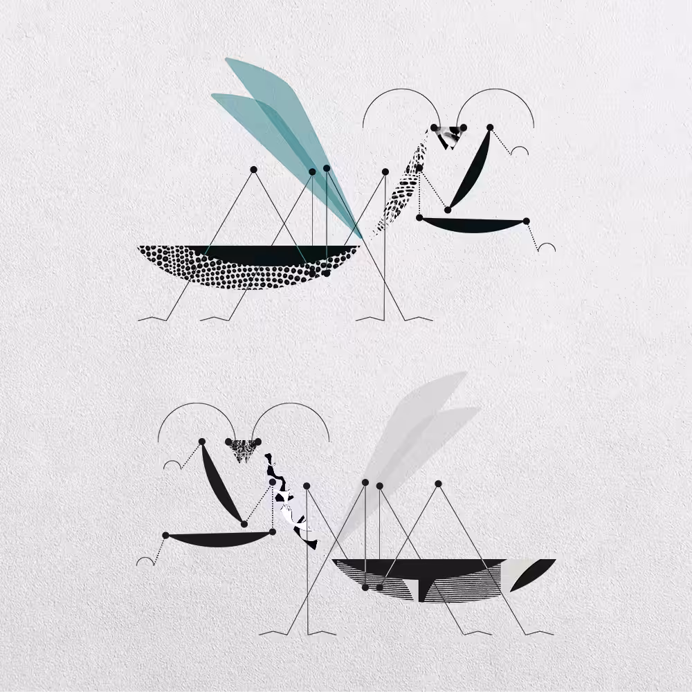 Mantis Abstraction #27