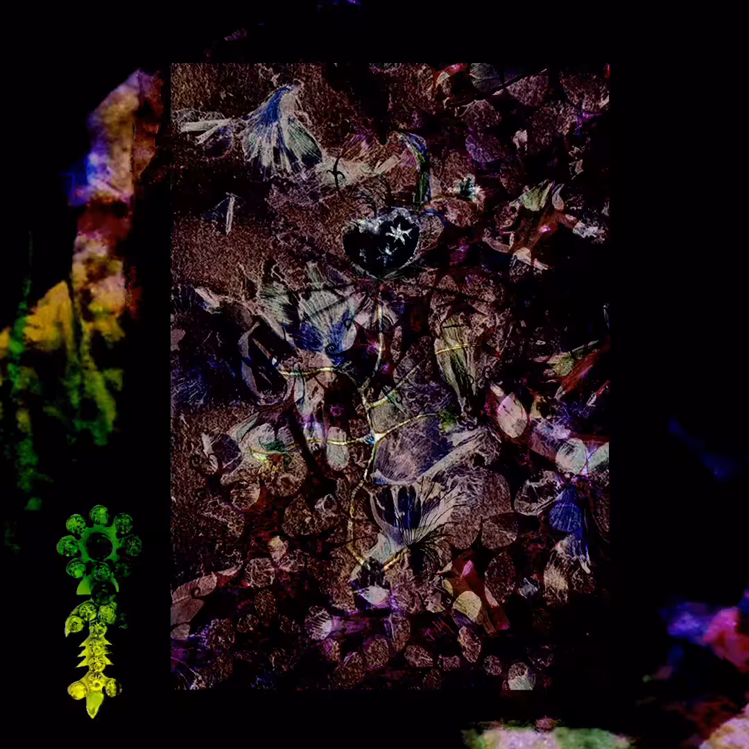 Fossil's Flower