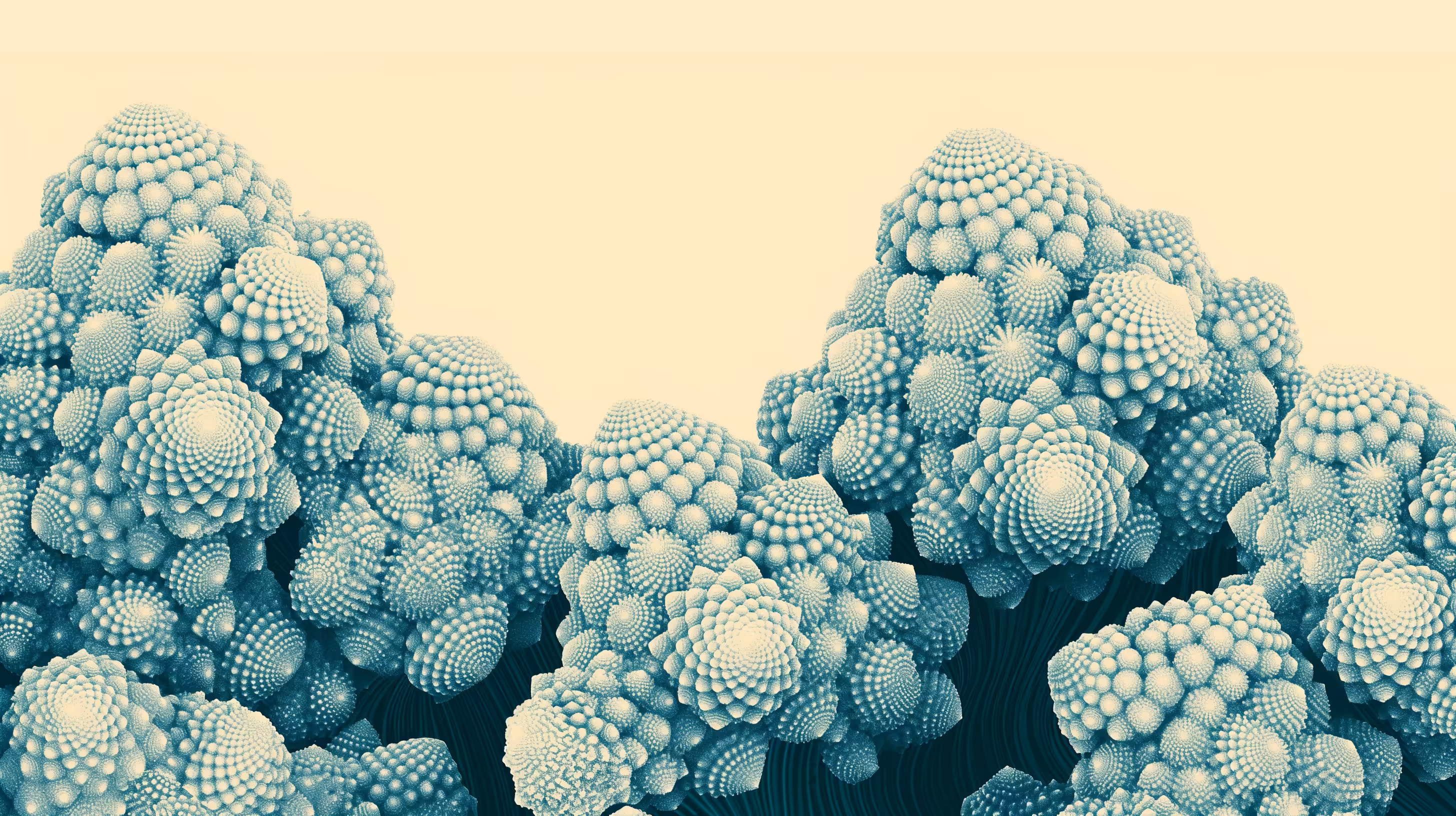 Romanesco
