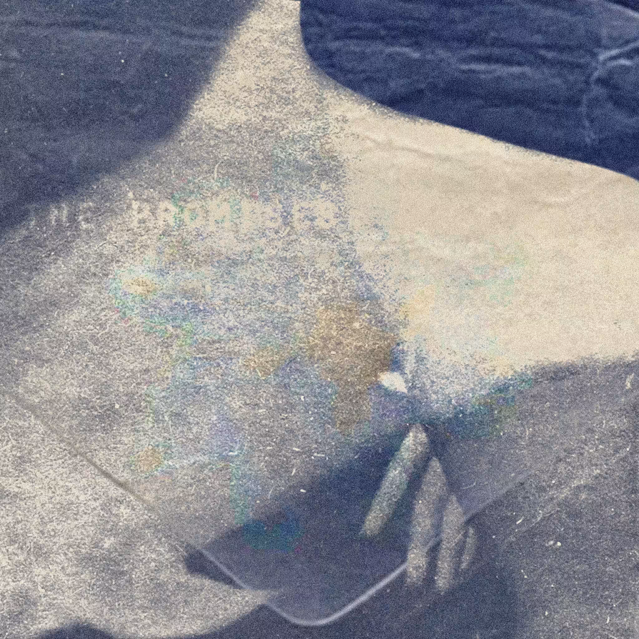  what age is a human born