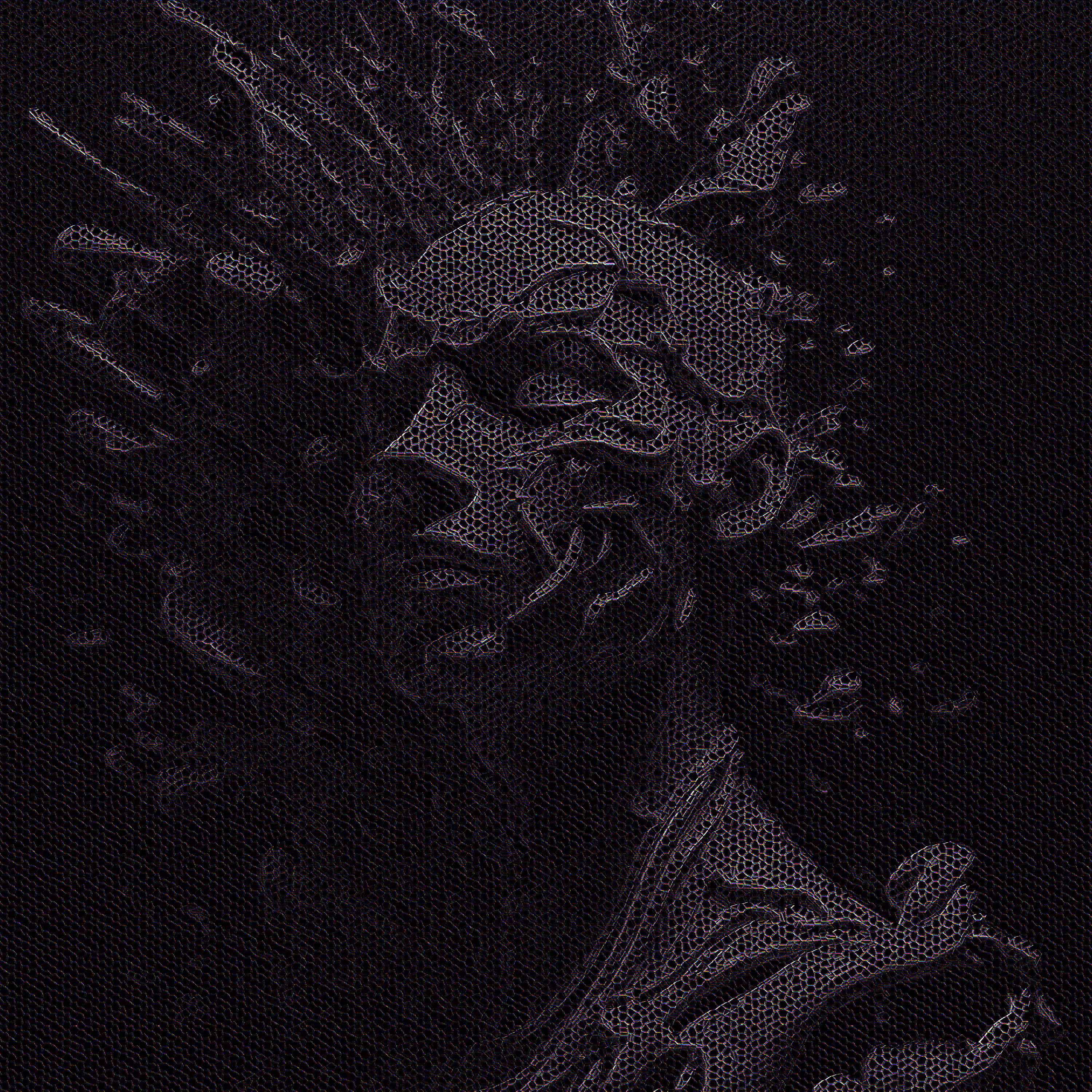 Globus // Sensation