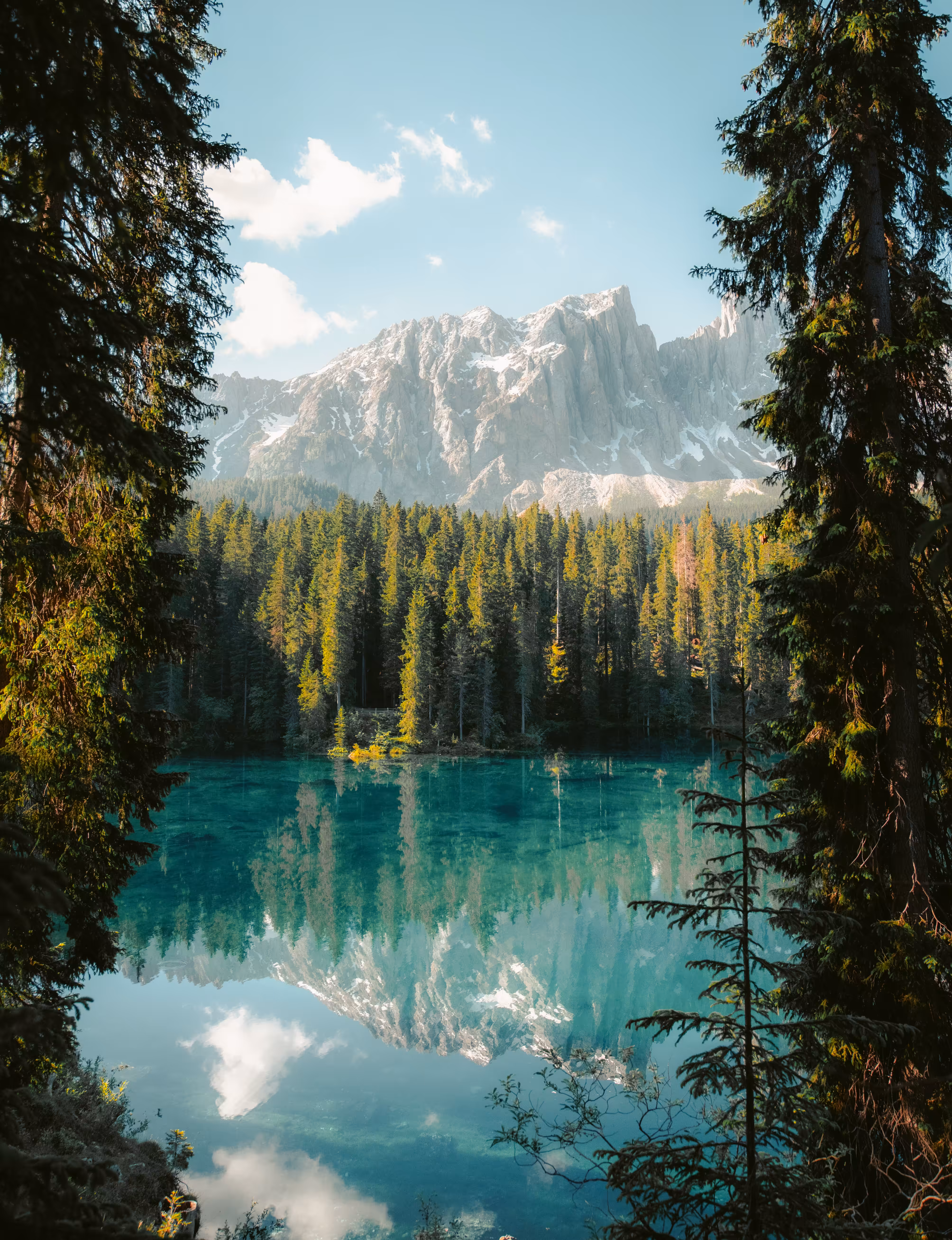 The Mountain Lake