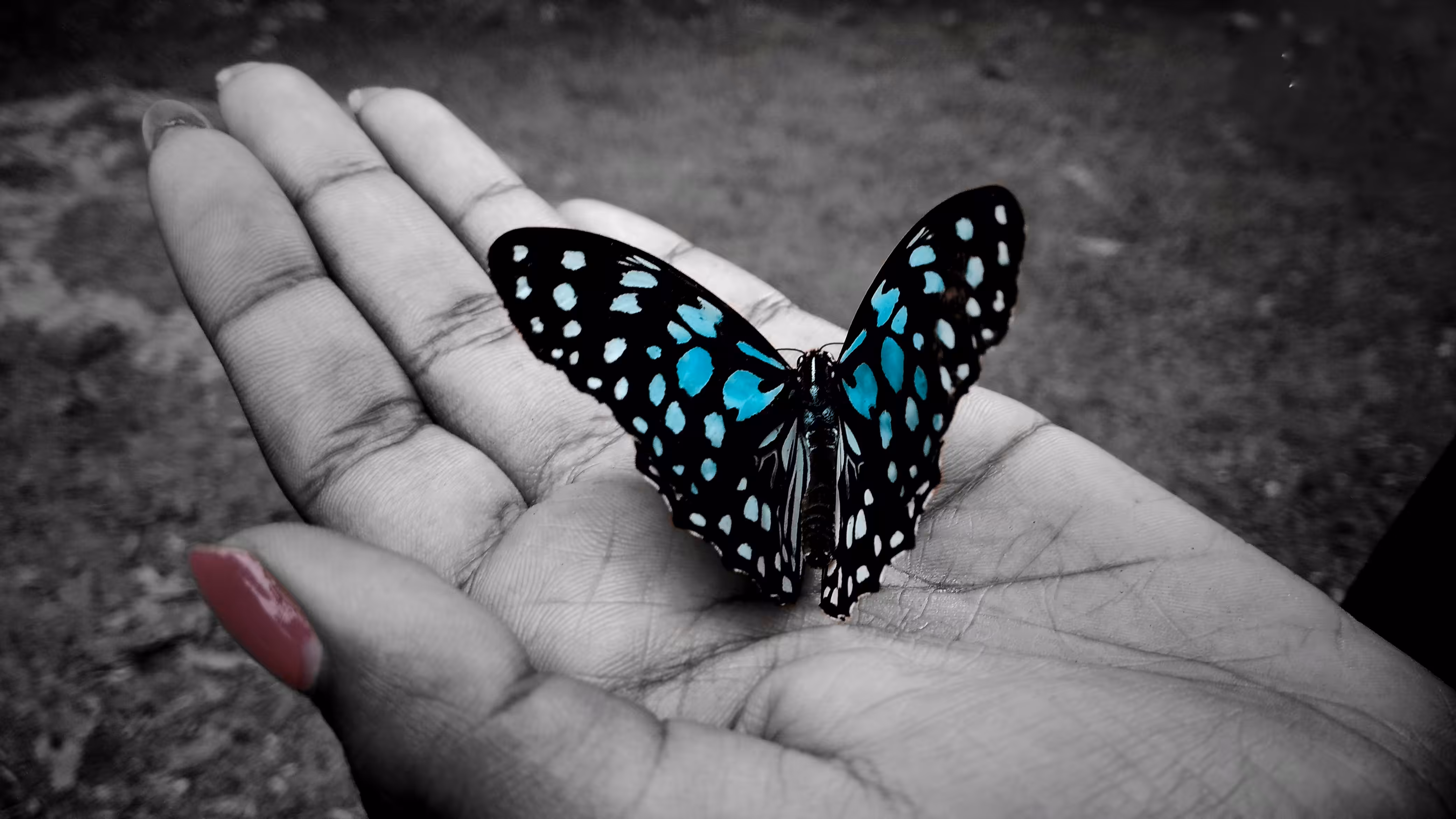 Blue Love
