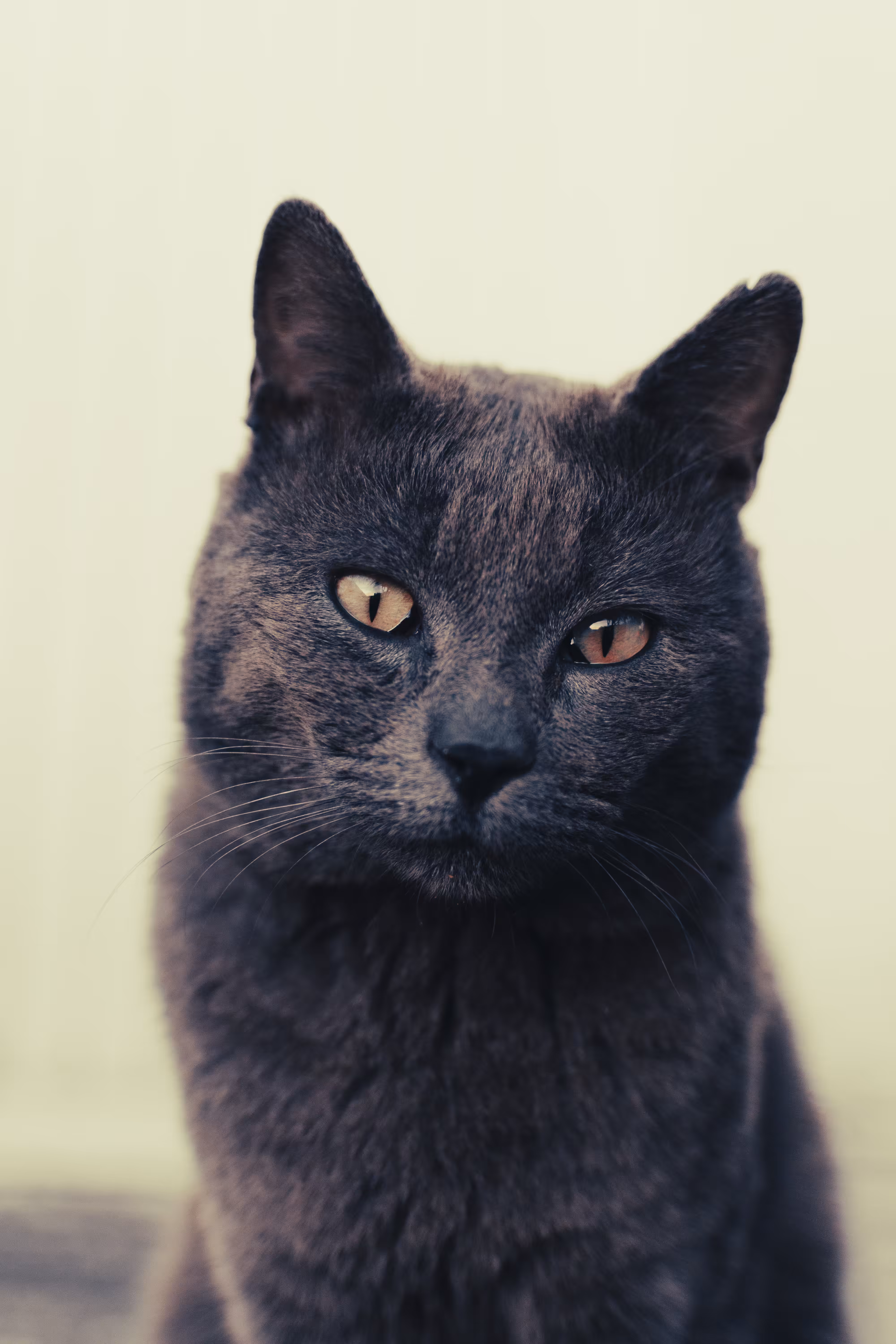 Bastet