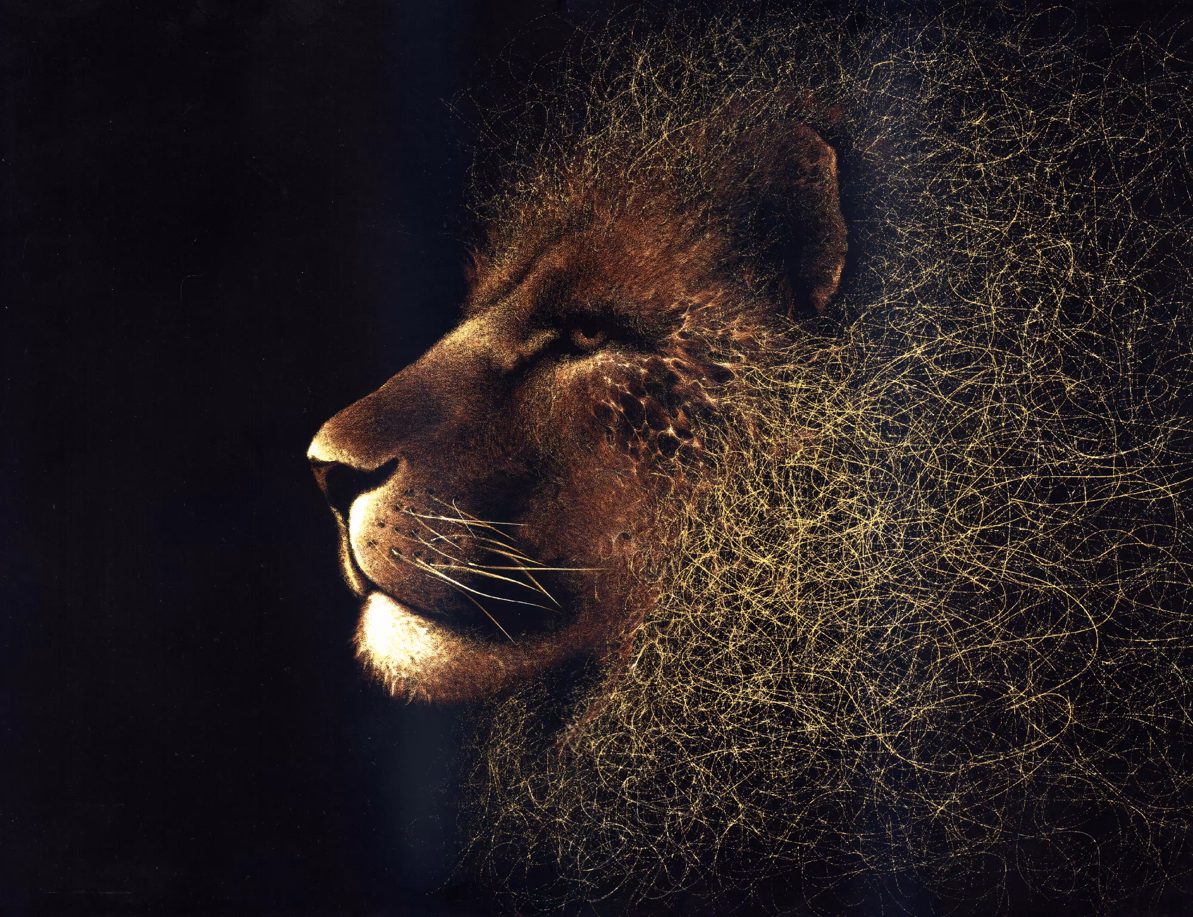 Lion