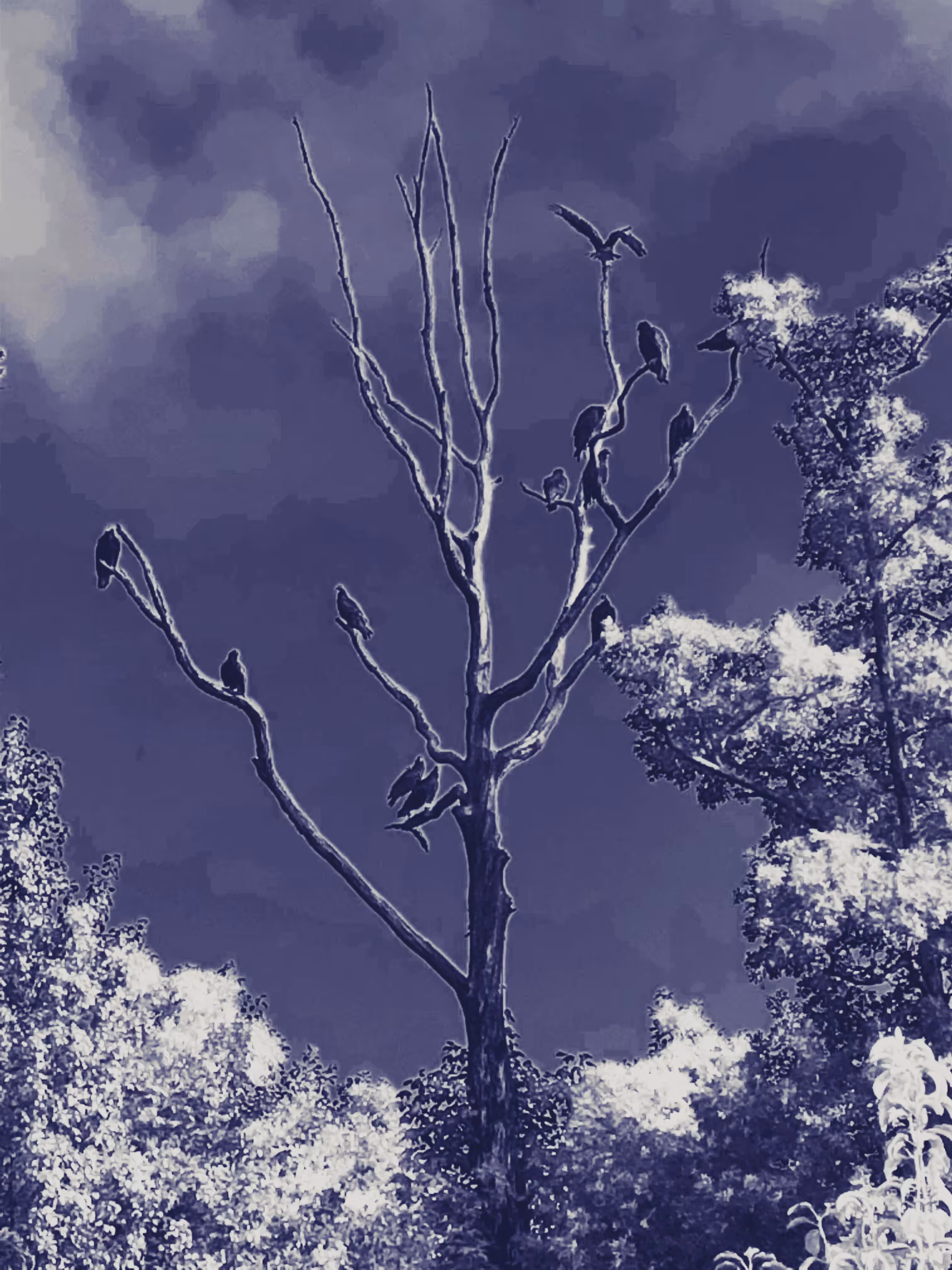 The Waiting