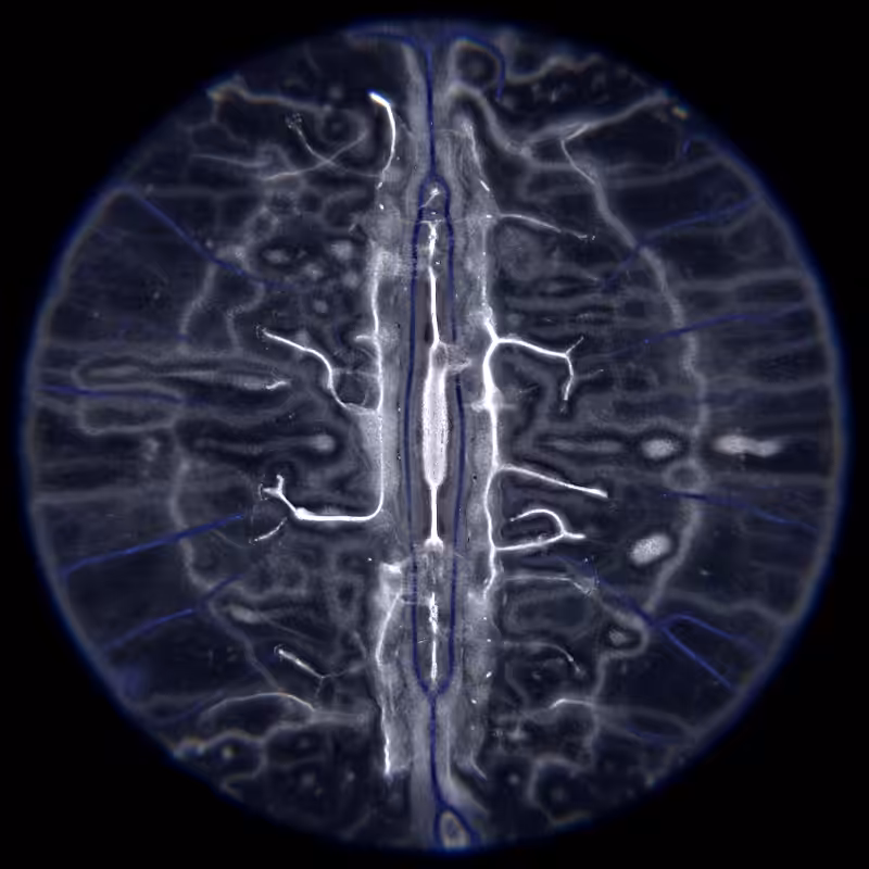 Ethereal Microcosm #240