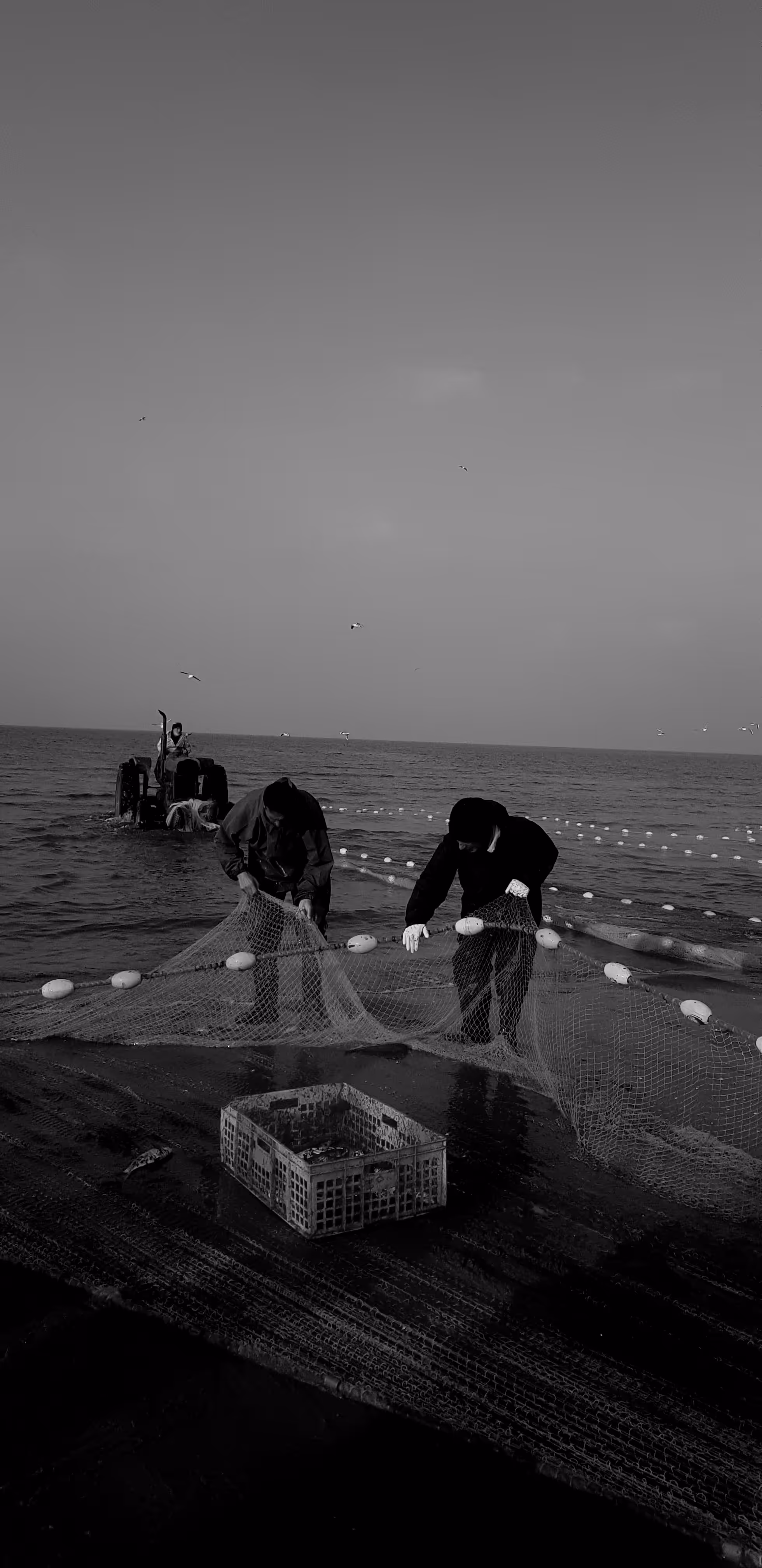 fishermen of the north (2)
