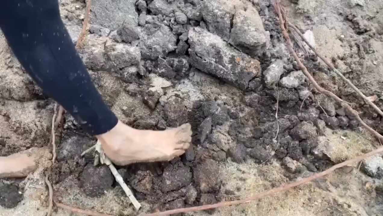 Stone pathway