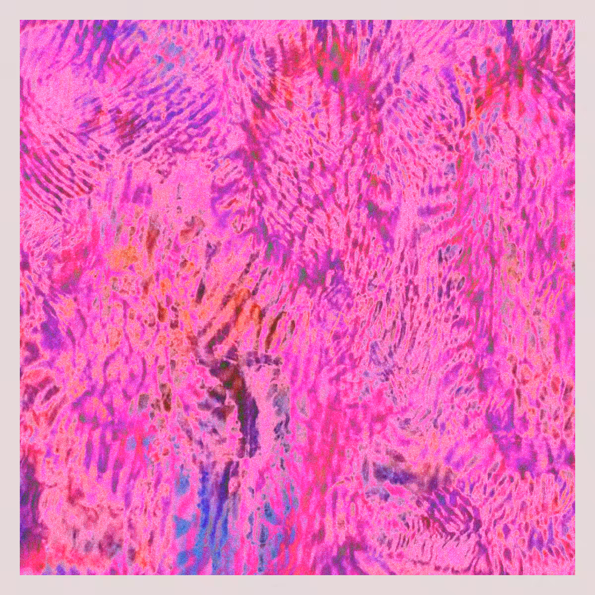 orGANics #12