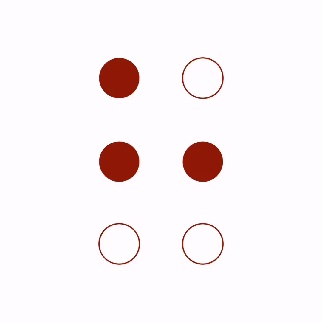 Braille Cell: 8