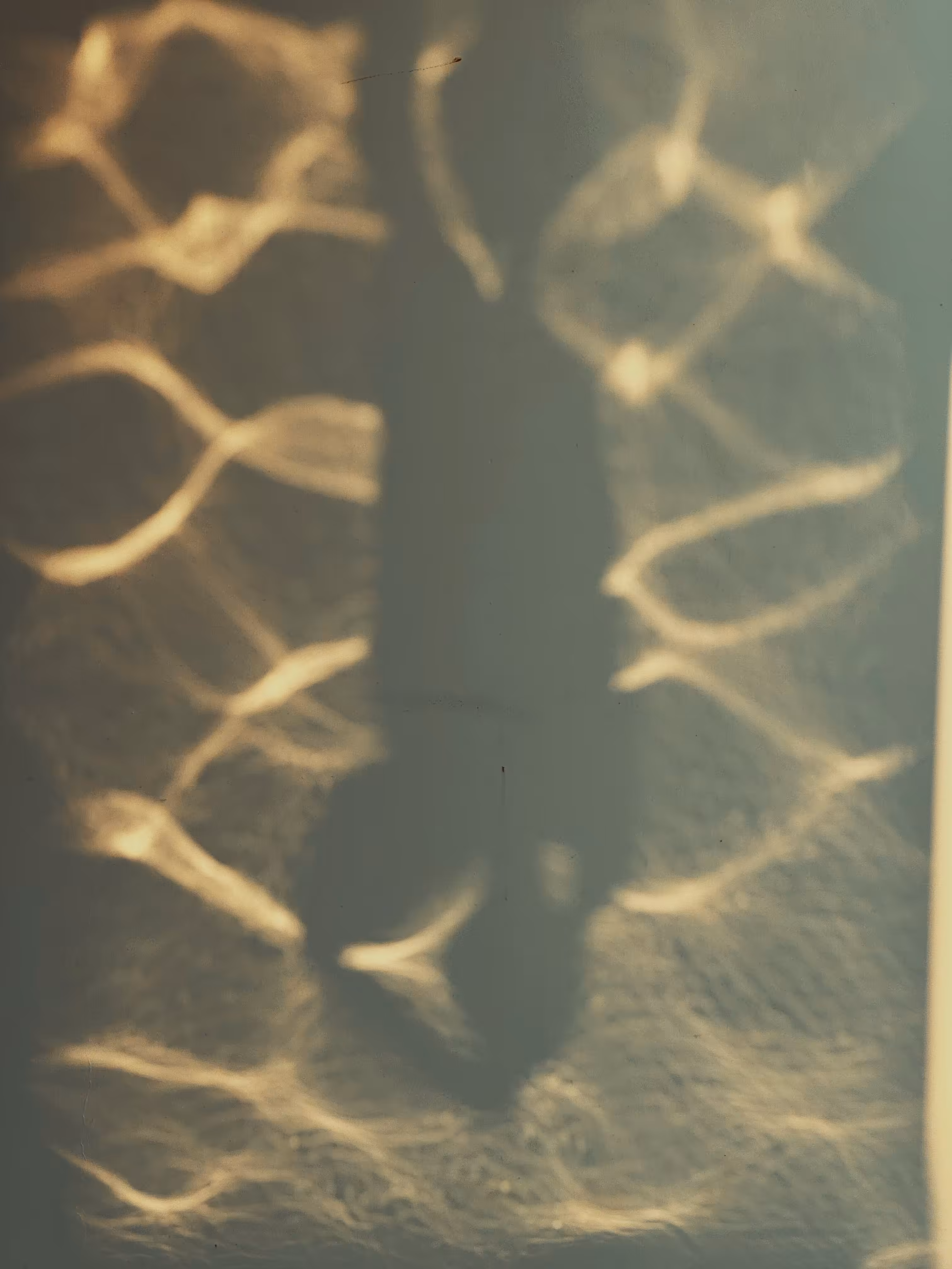 Rodeo posts: a study of reflection • yi
