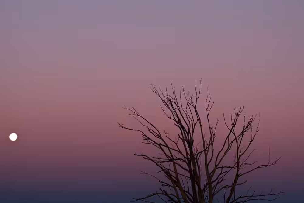 Last Light