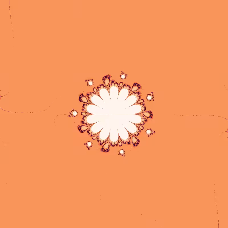 Morphology #28