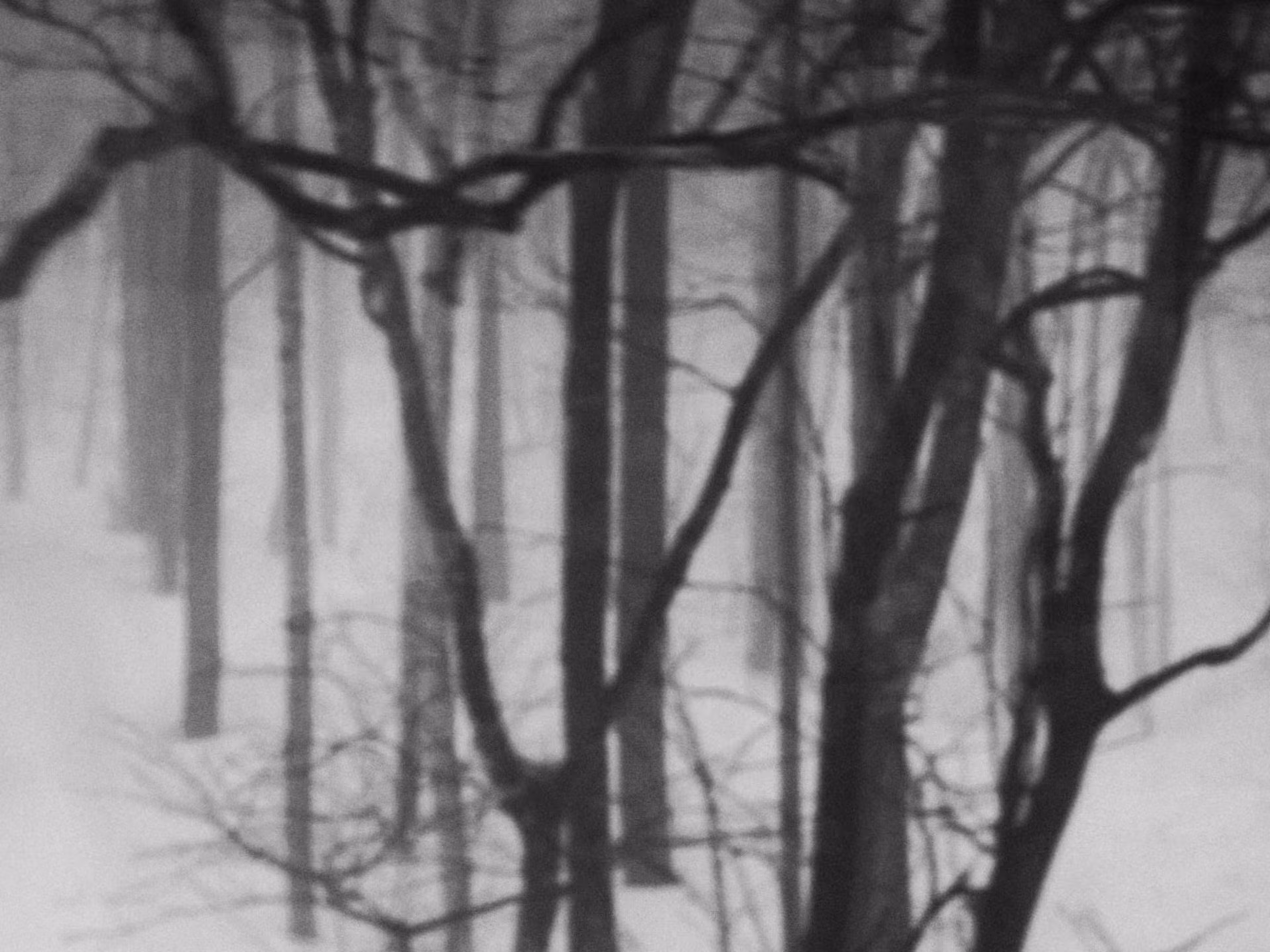 emotion from tree -1