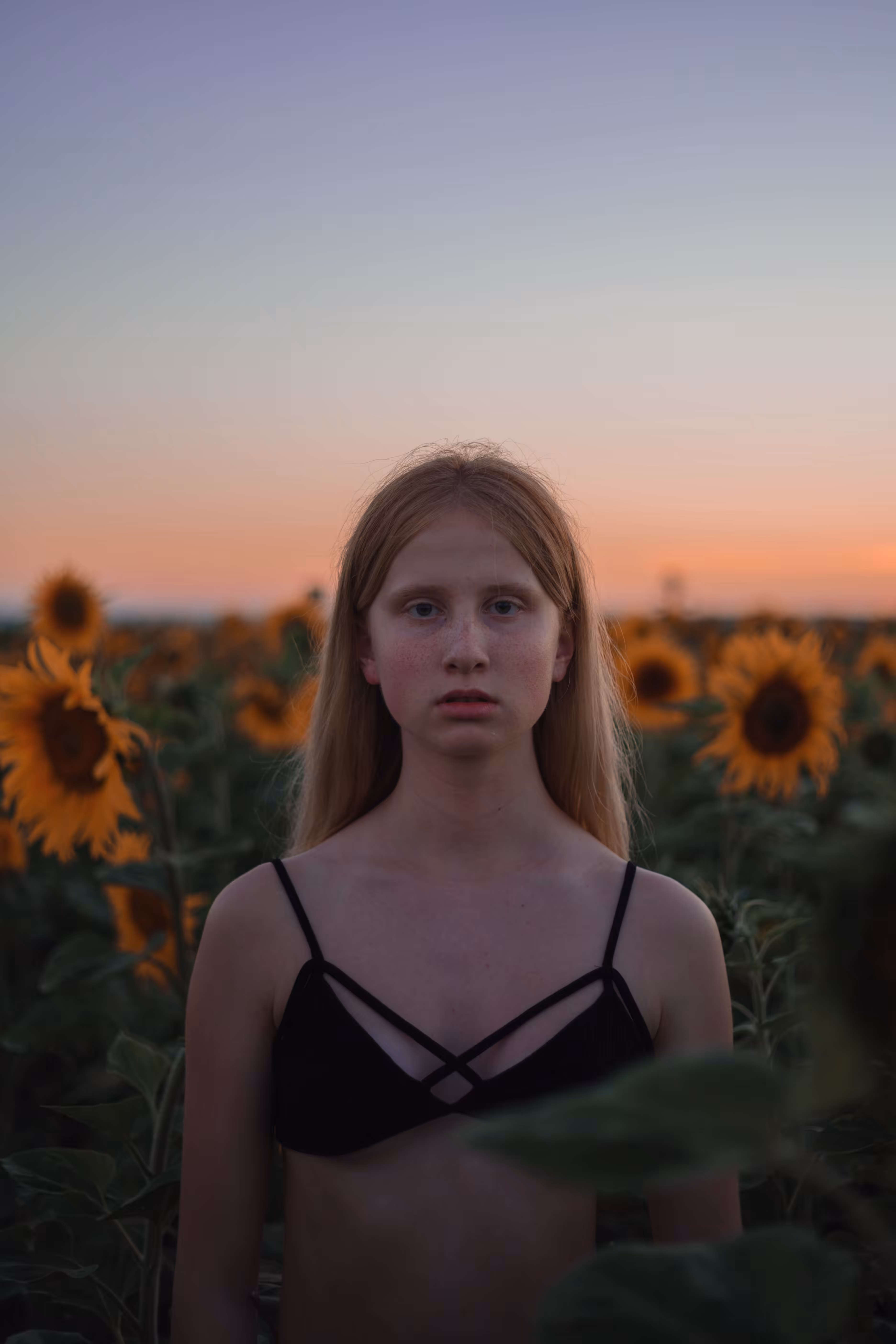 Summertime. Lost in sunflowers 