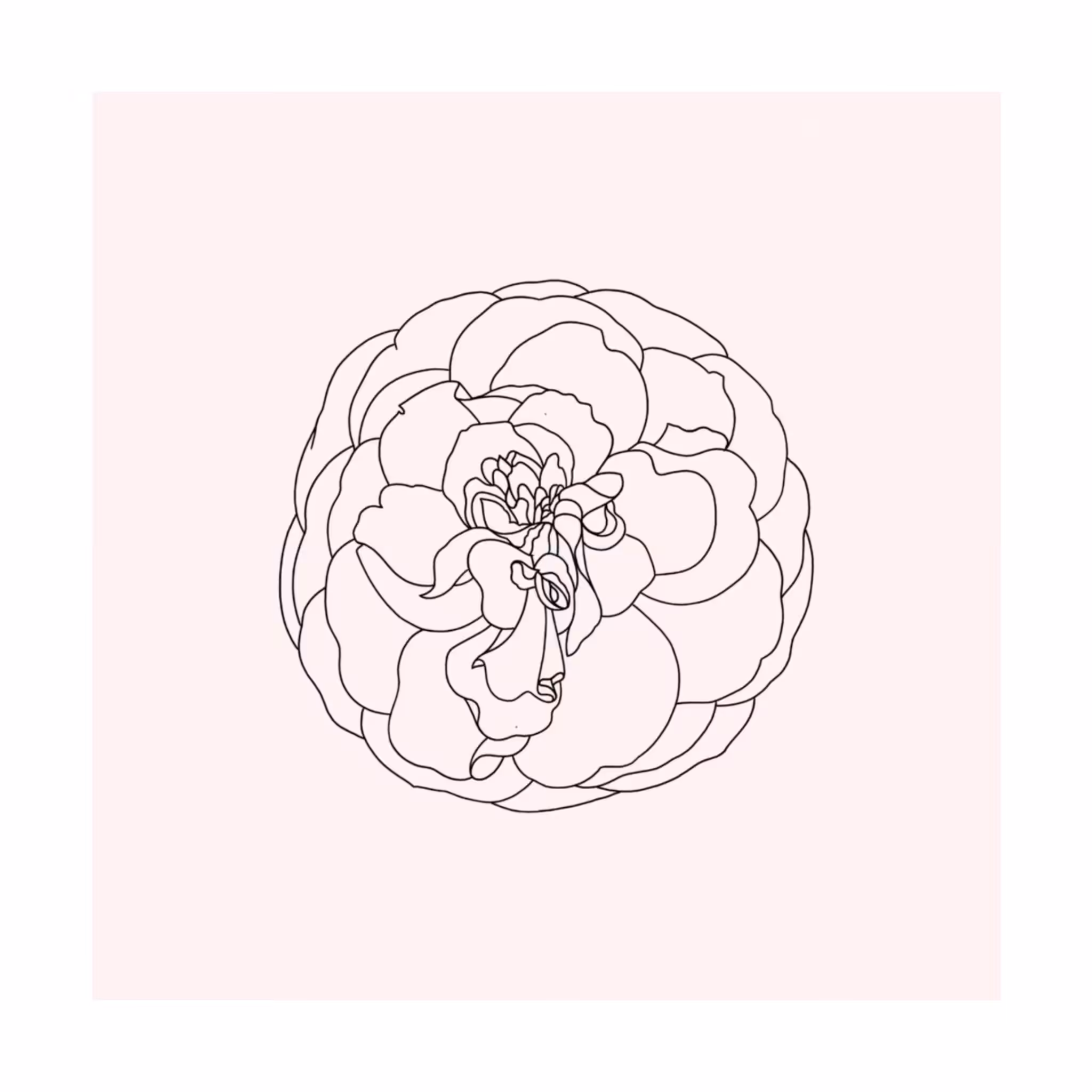 flwr for you