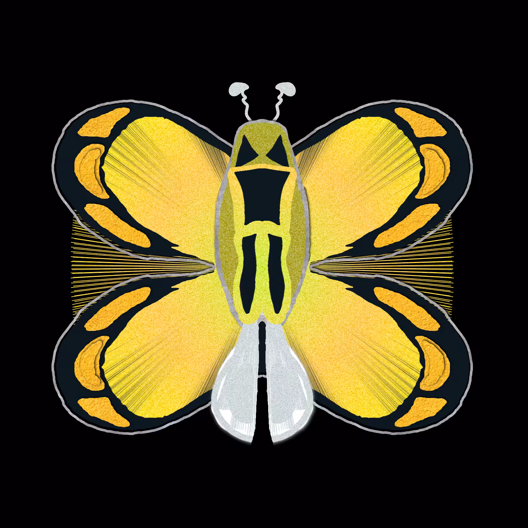 Tezerfly#085