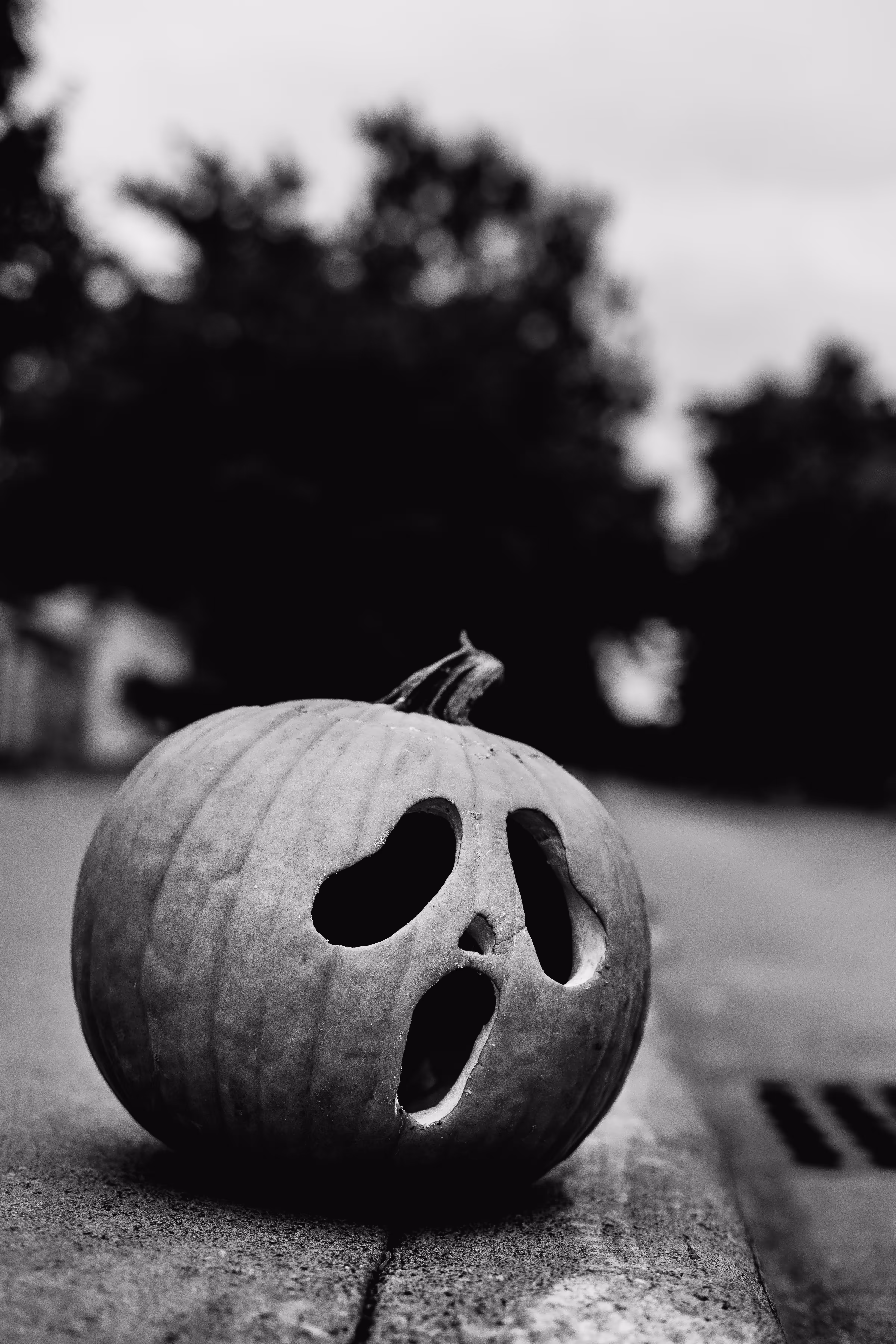 Pumpkins with Faces