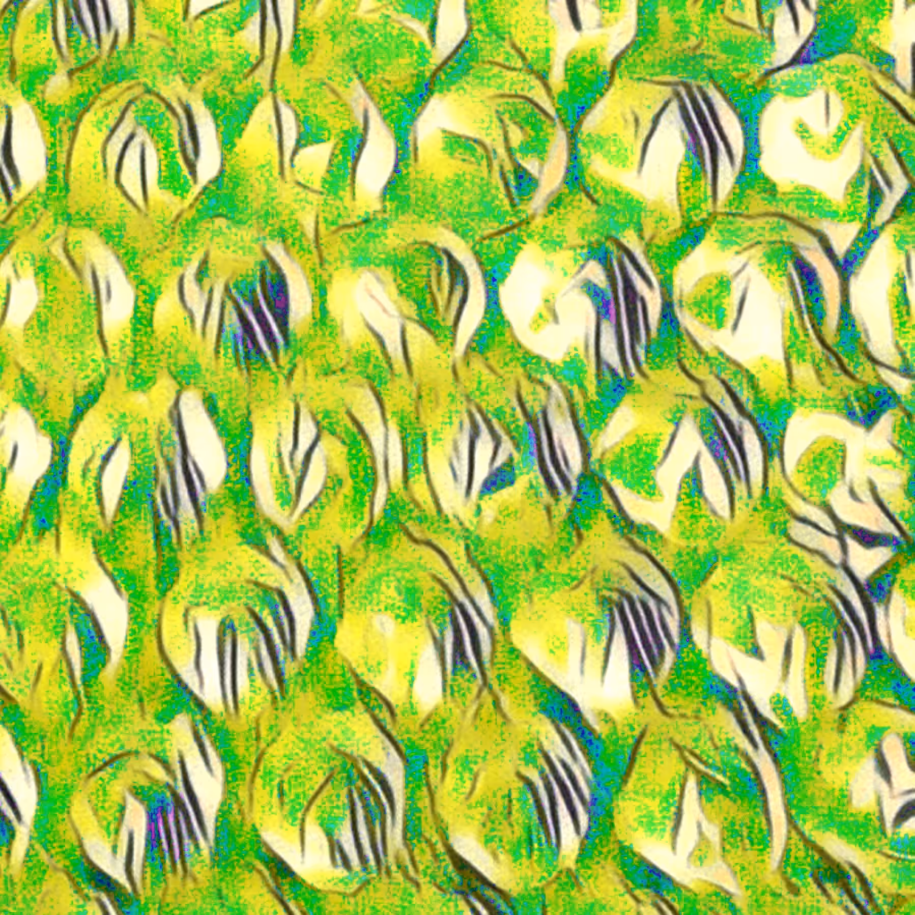 wrap warp 3