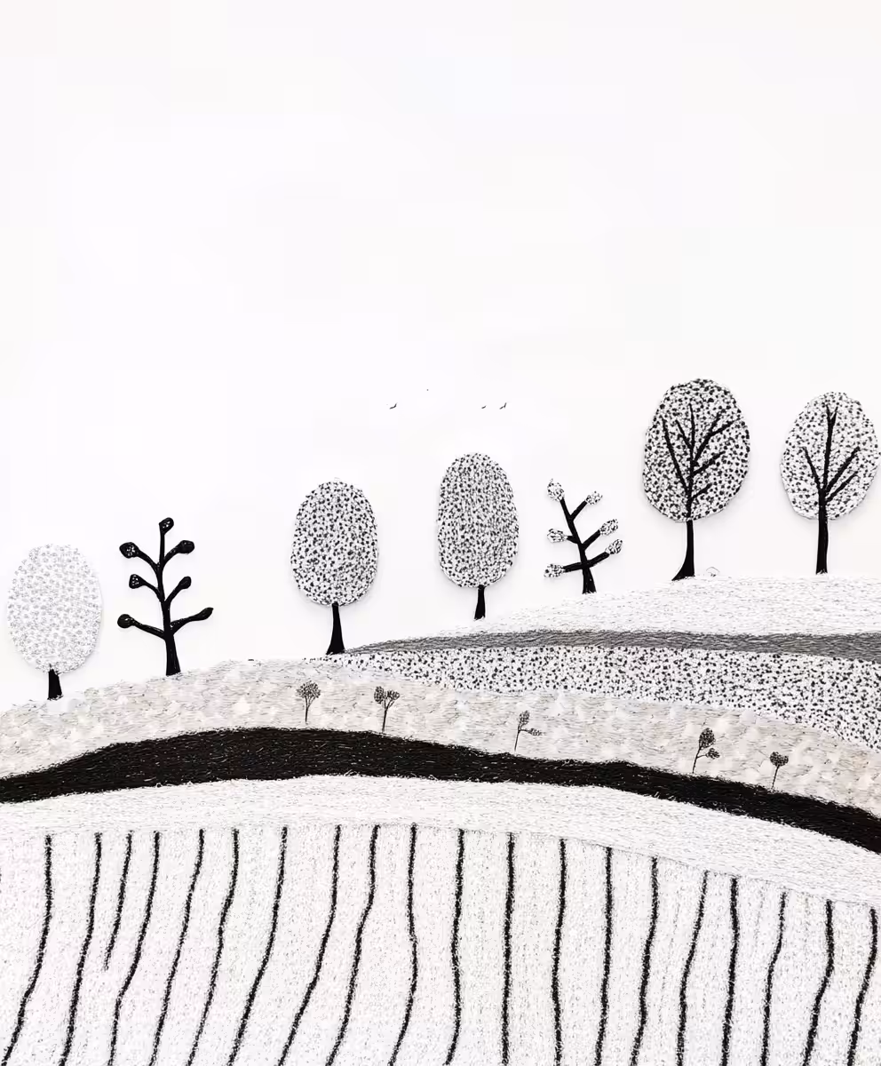 Quiet Fields