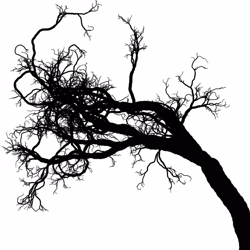 Tree 01 #24