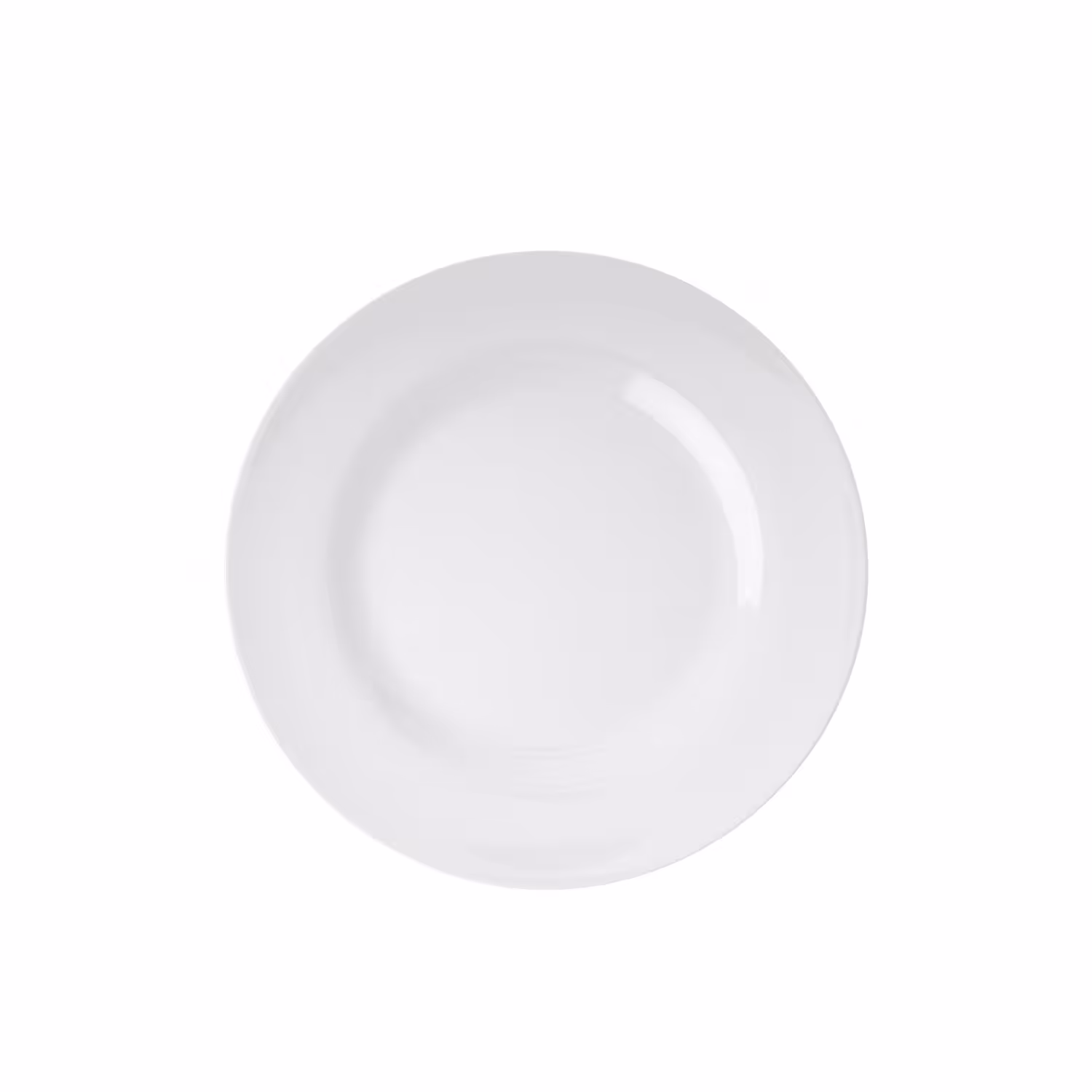 100 Everyday Items: Plate