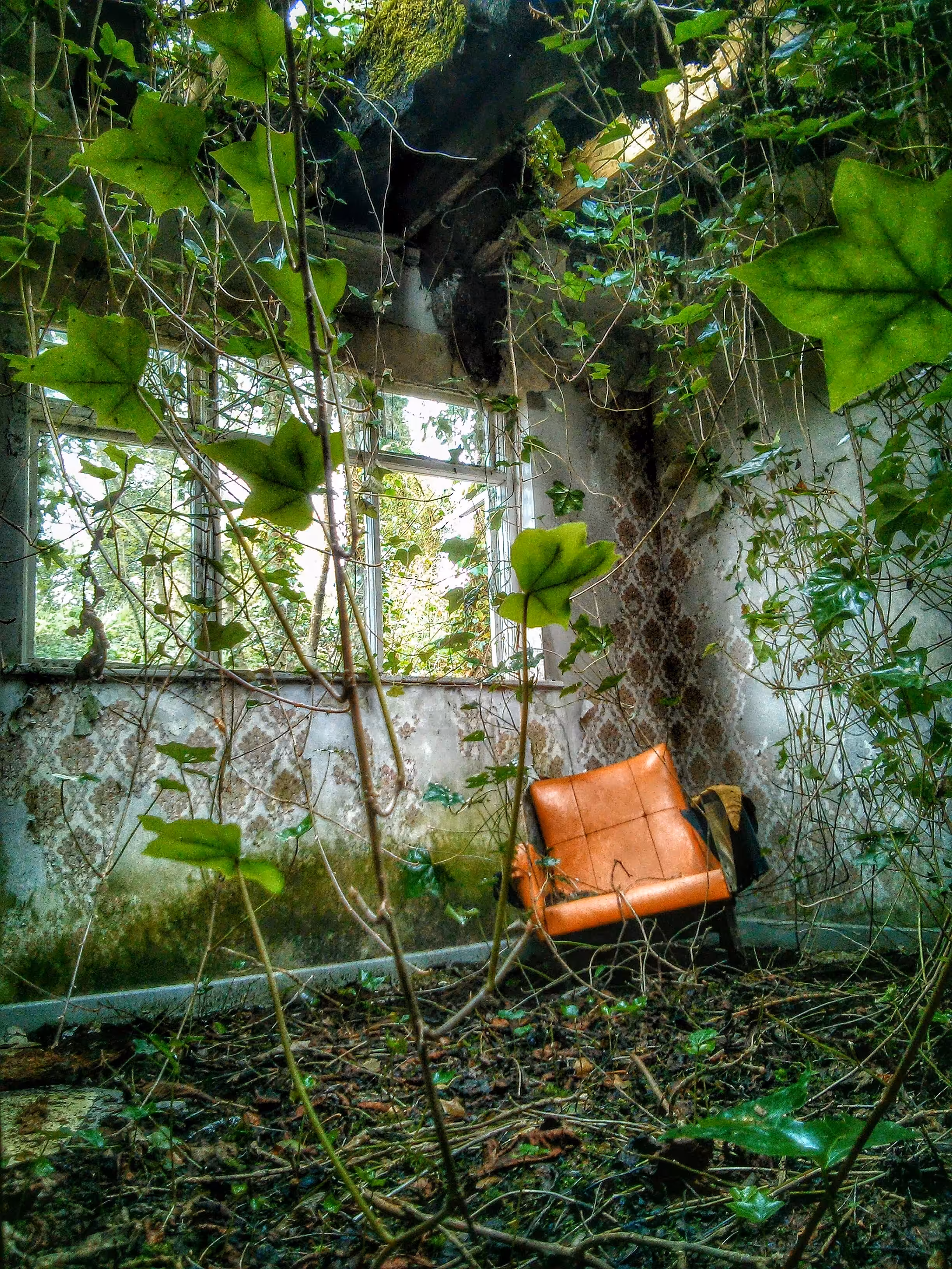 Nature Always Wins