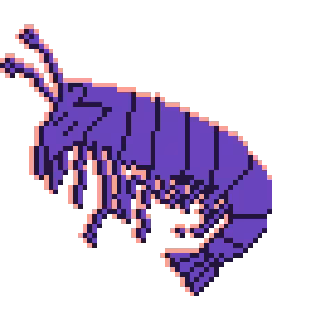 Shrimp